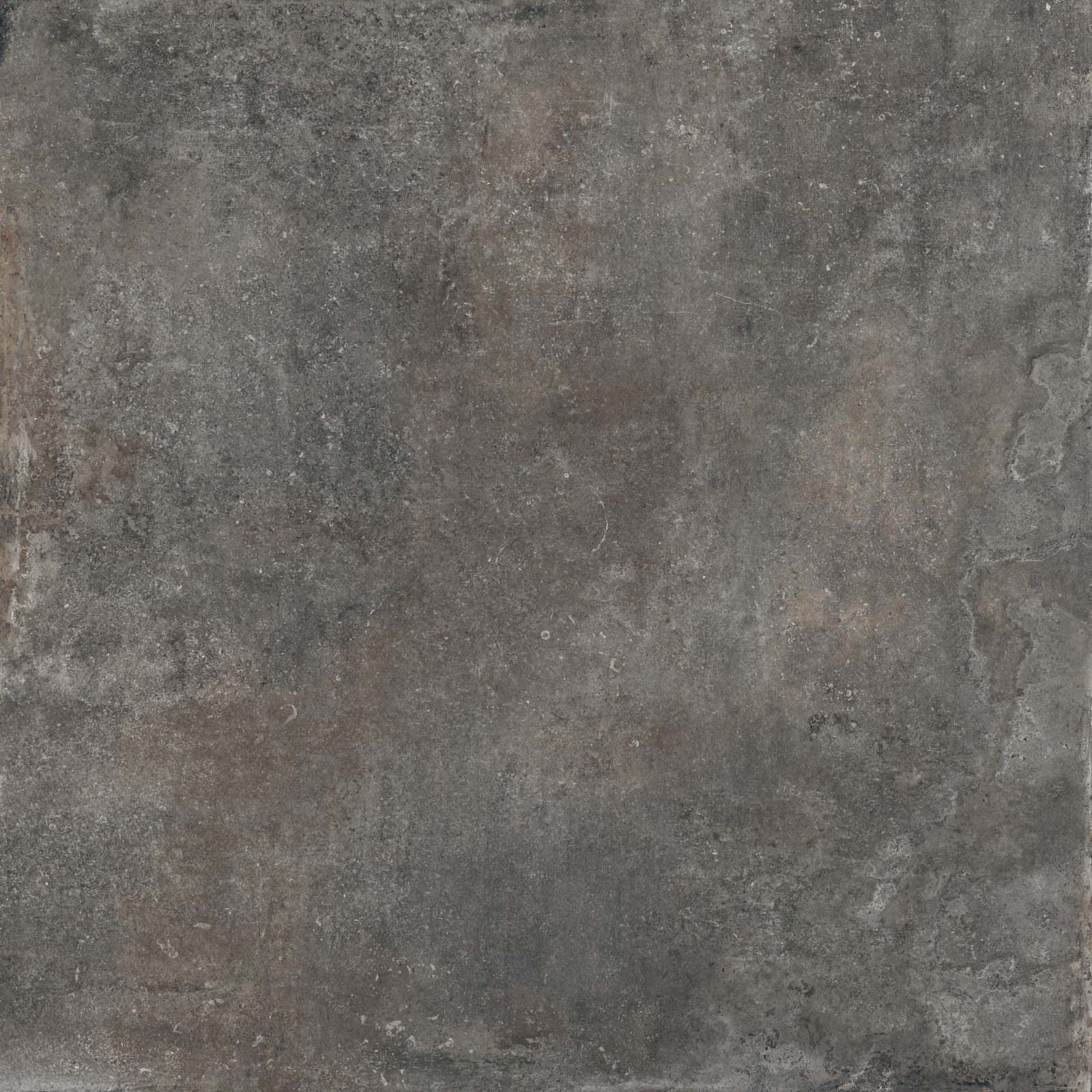 Bodenfliese RE_TOUR mud 120x120