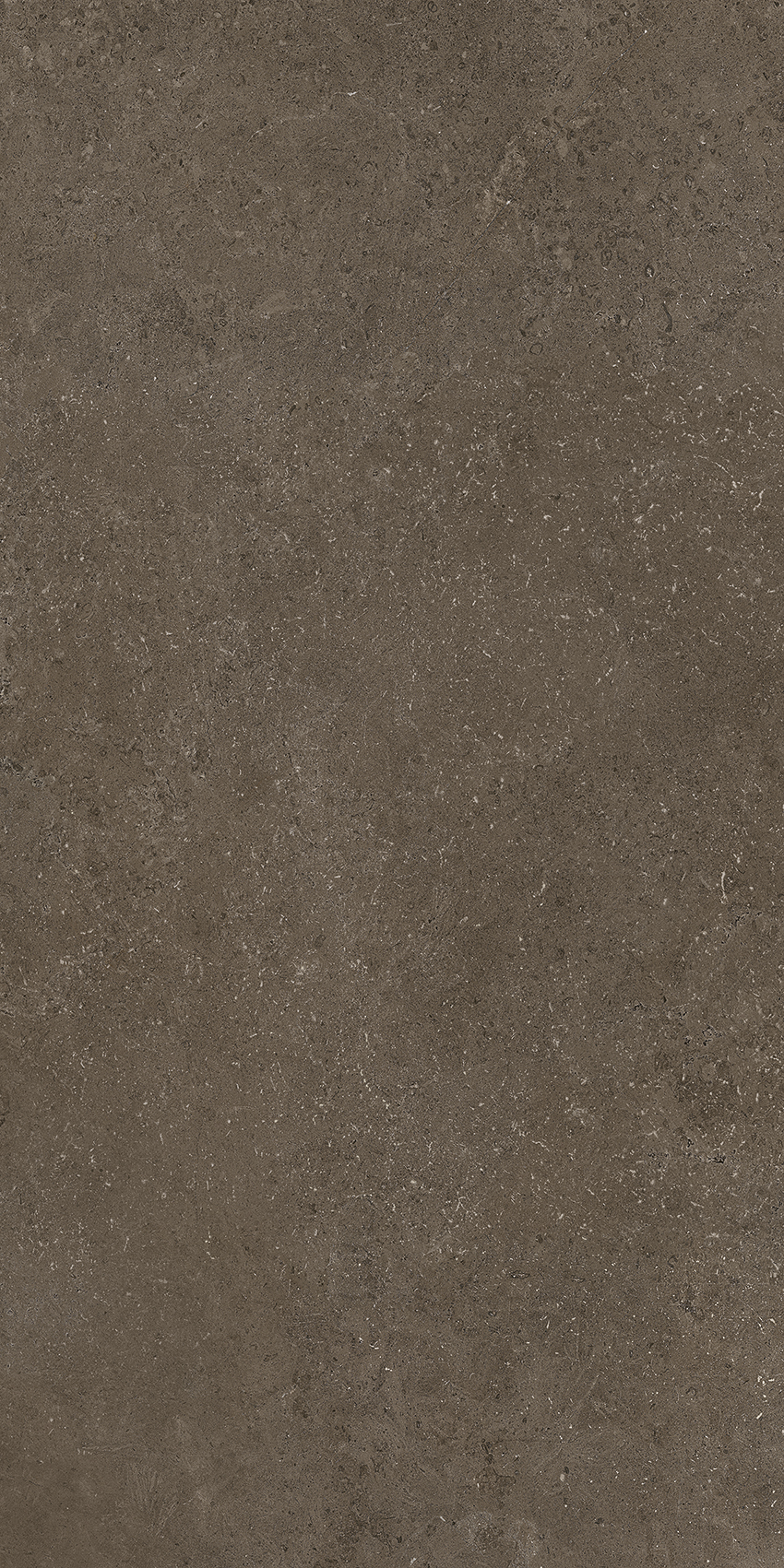 Bodenfliese CROATIA antracite 60x120