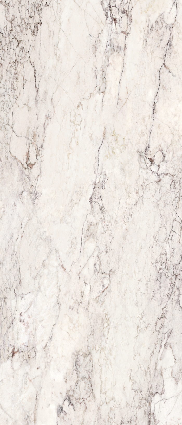 Wandfliese BRECCIA CAPRAIA 120x280 (lap)