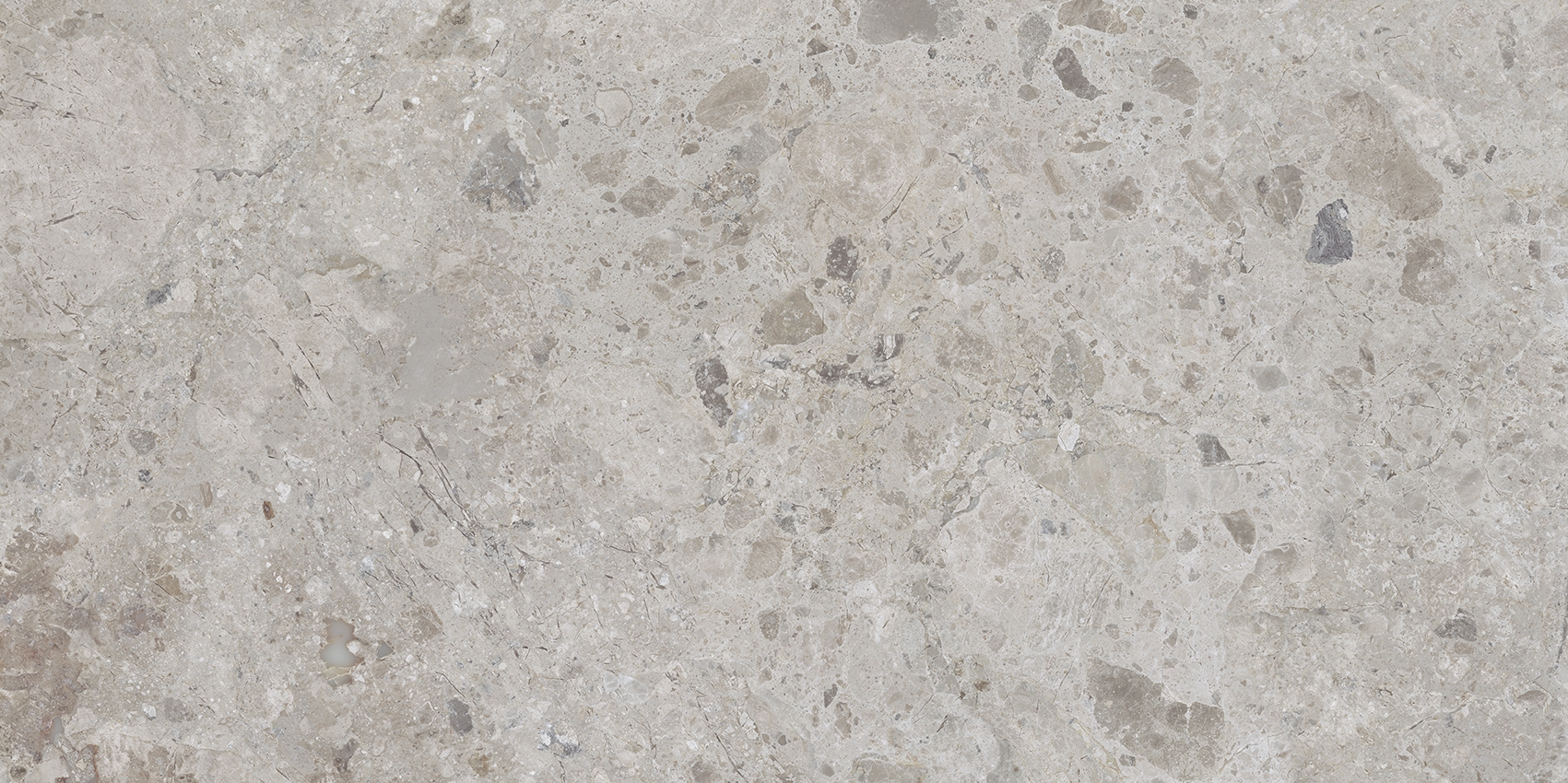 Bodenfliese Ambrosia grey 60x120