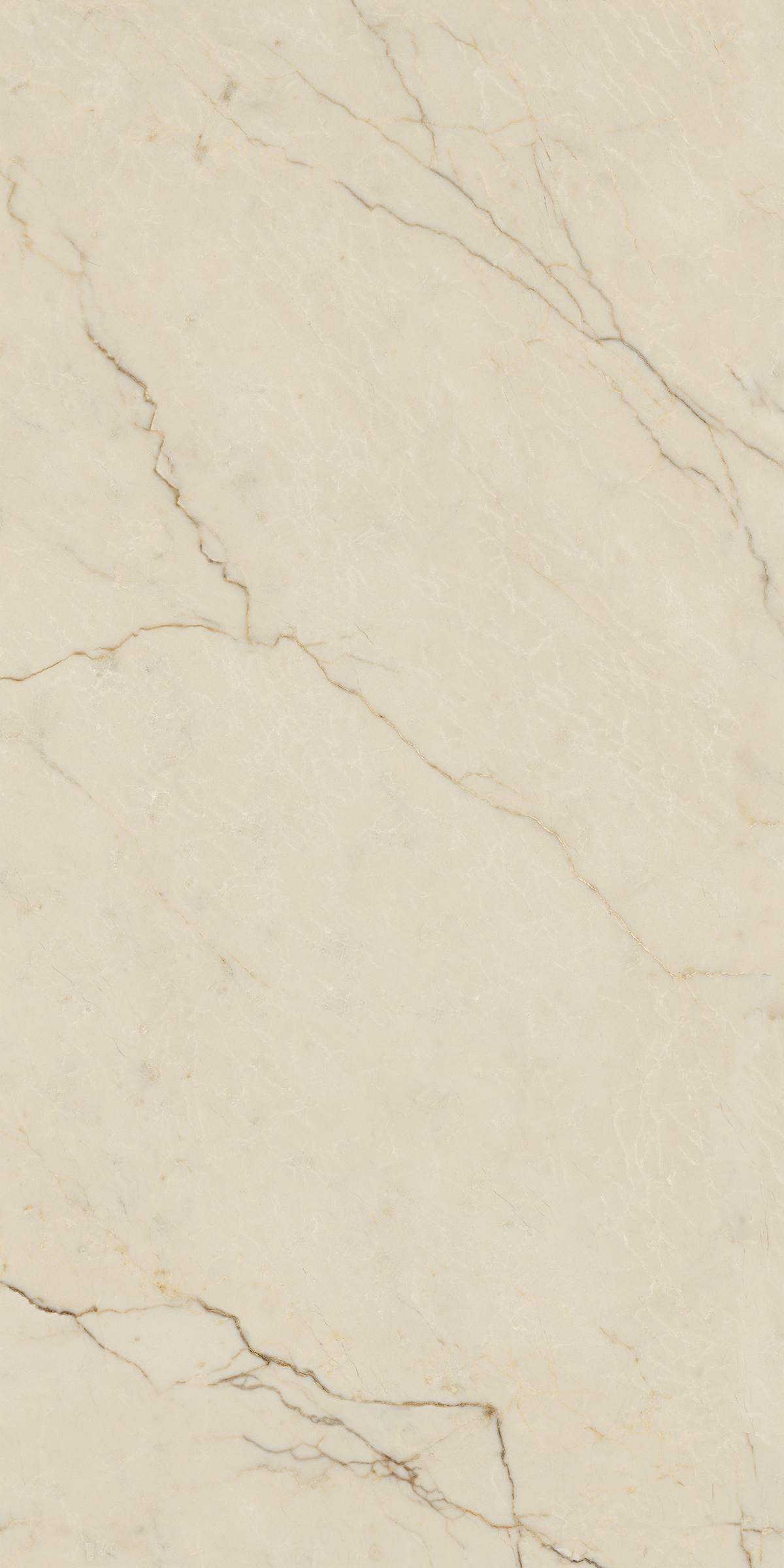 Bodenfliese AVORIO SEGESTA 60x120
