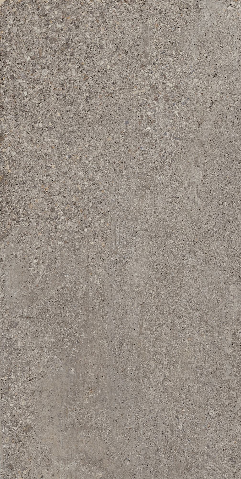 Bodenfliese KONKRETE cenere 60x120