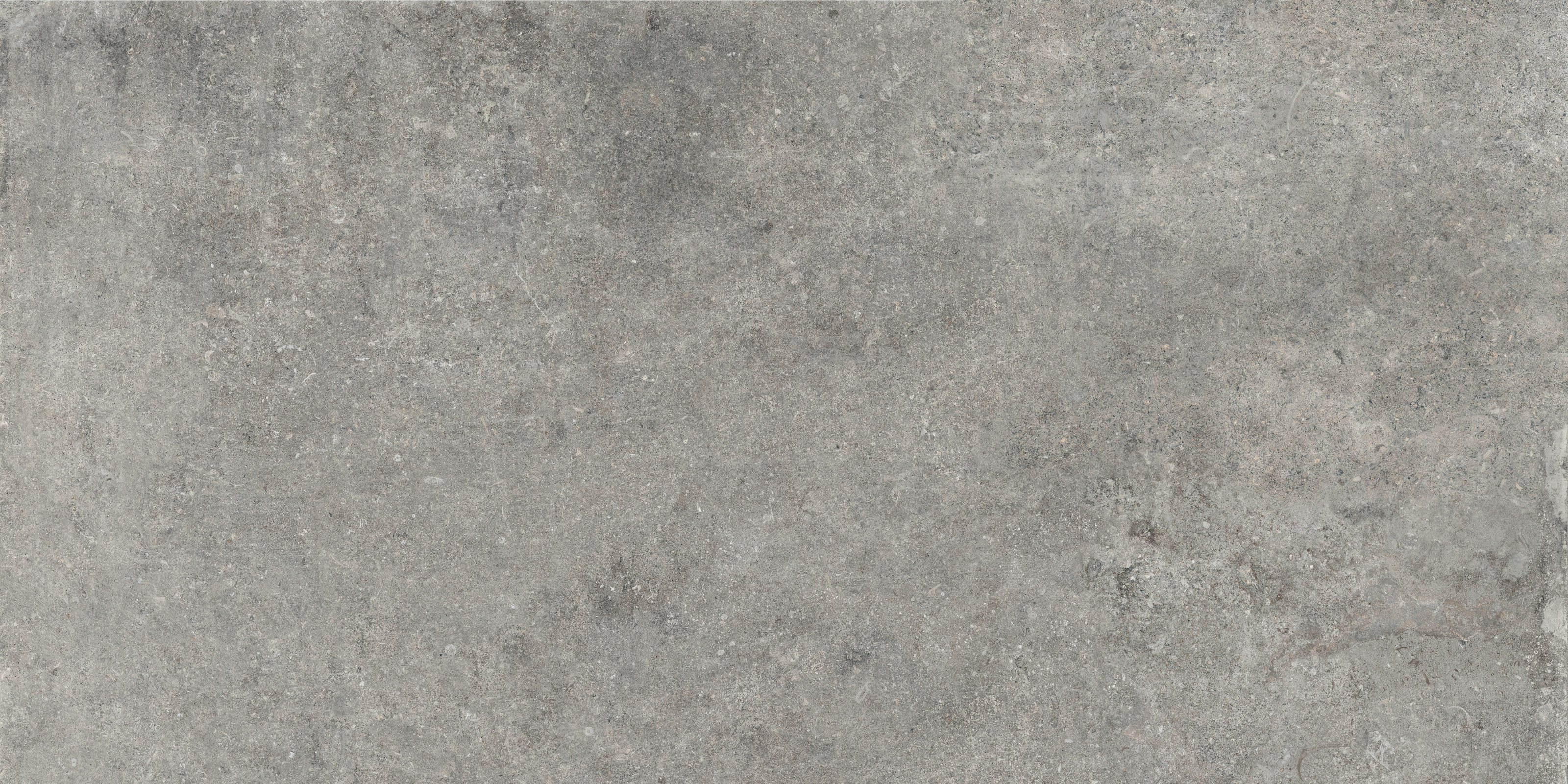 Bodenfliese RE_TOUR fog 60x120