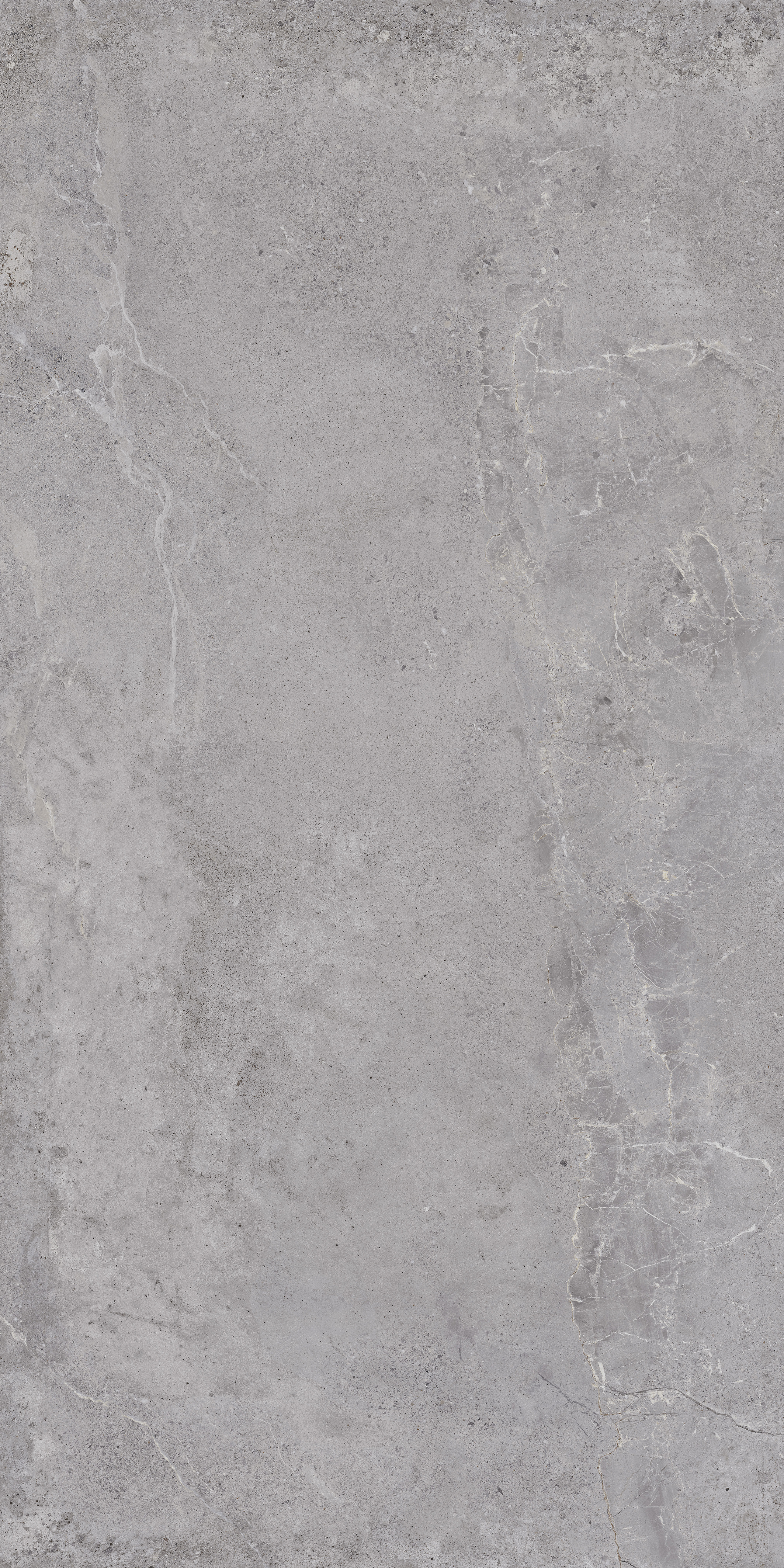 Outdoor-Fliese EVOLUTION grey 60x120
