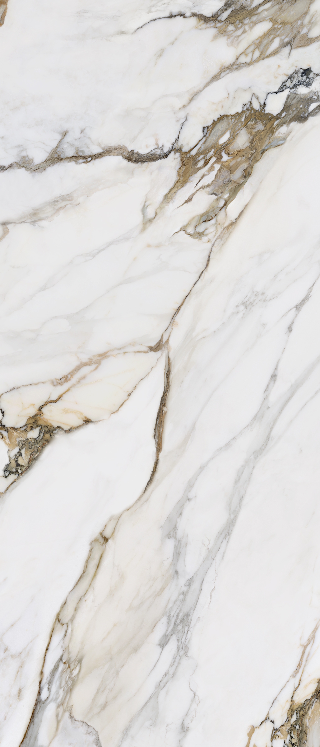 Wandfliese MACCHIA ANTICA 120x280 (lap)