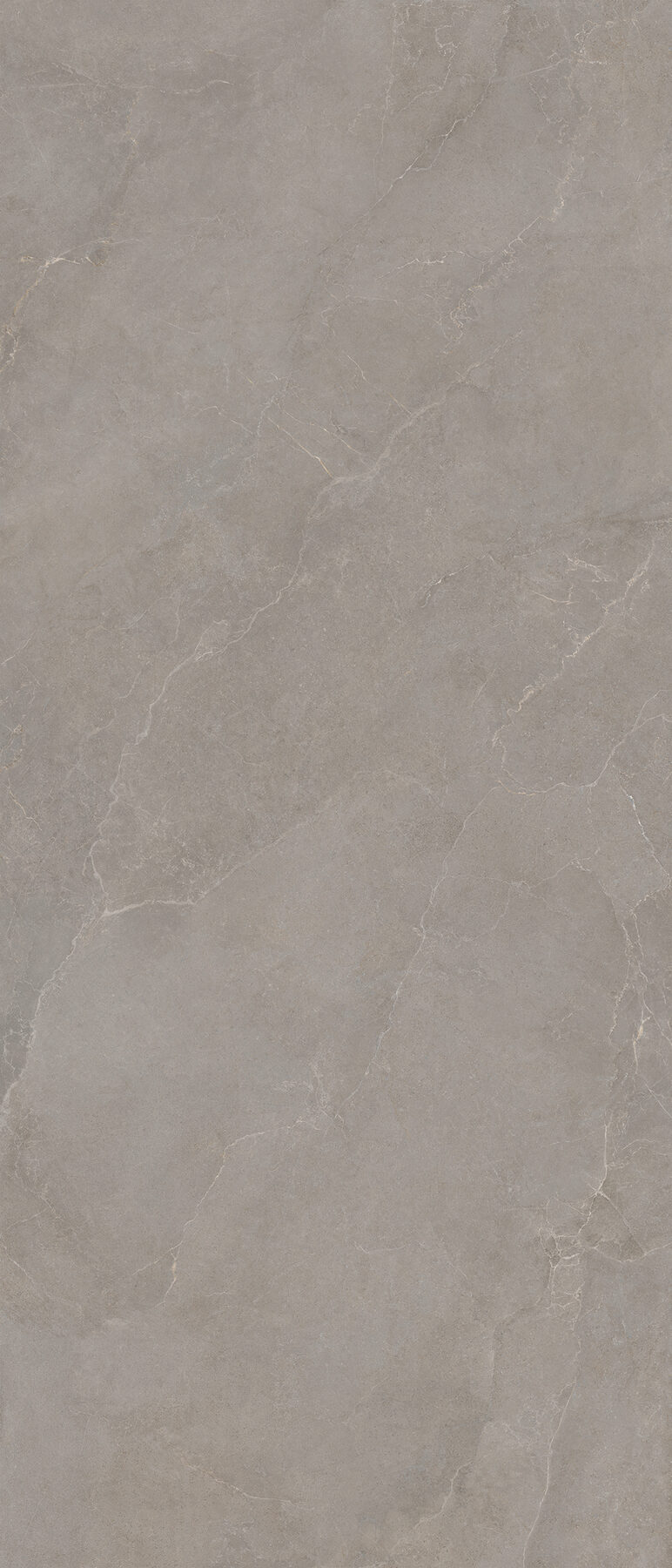Wandfliese NOBLE STONE taupe 120x280
