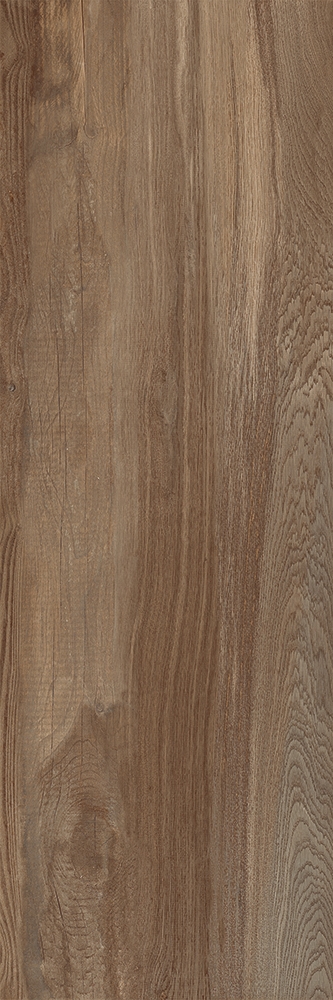 Outdoor-Fliese AEQUA castor 40x120