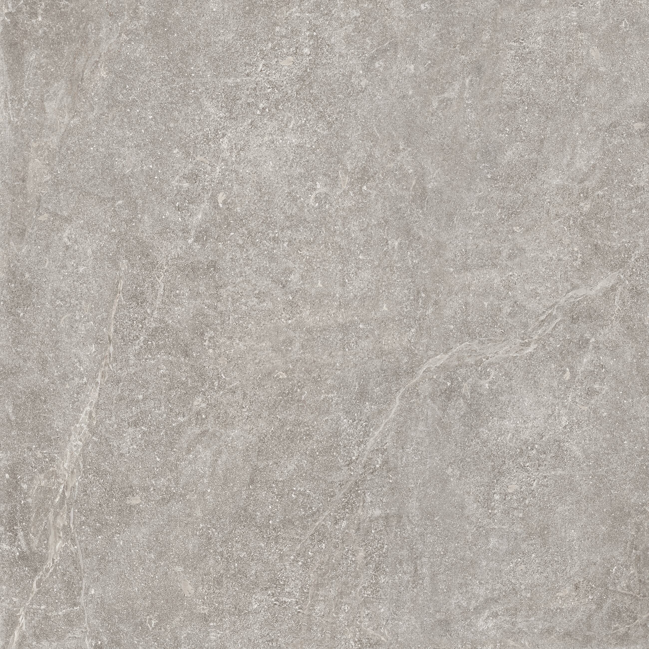 Outdoor-Fliese PIETRA ANTICA grey 100x100