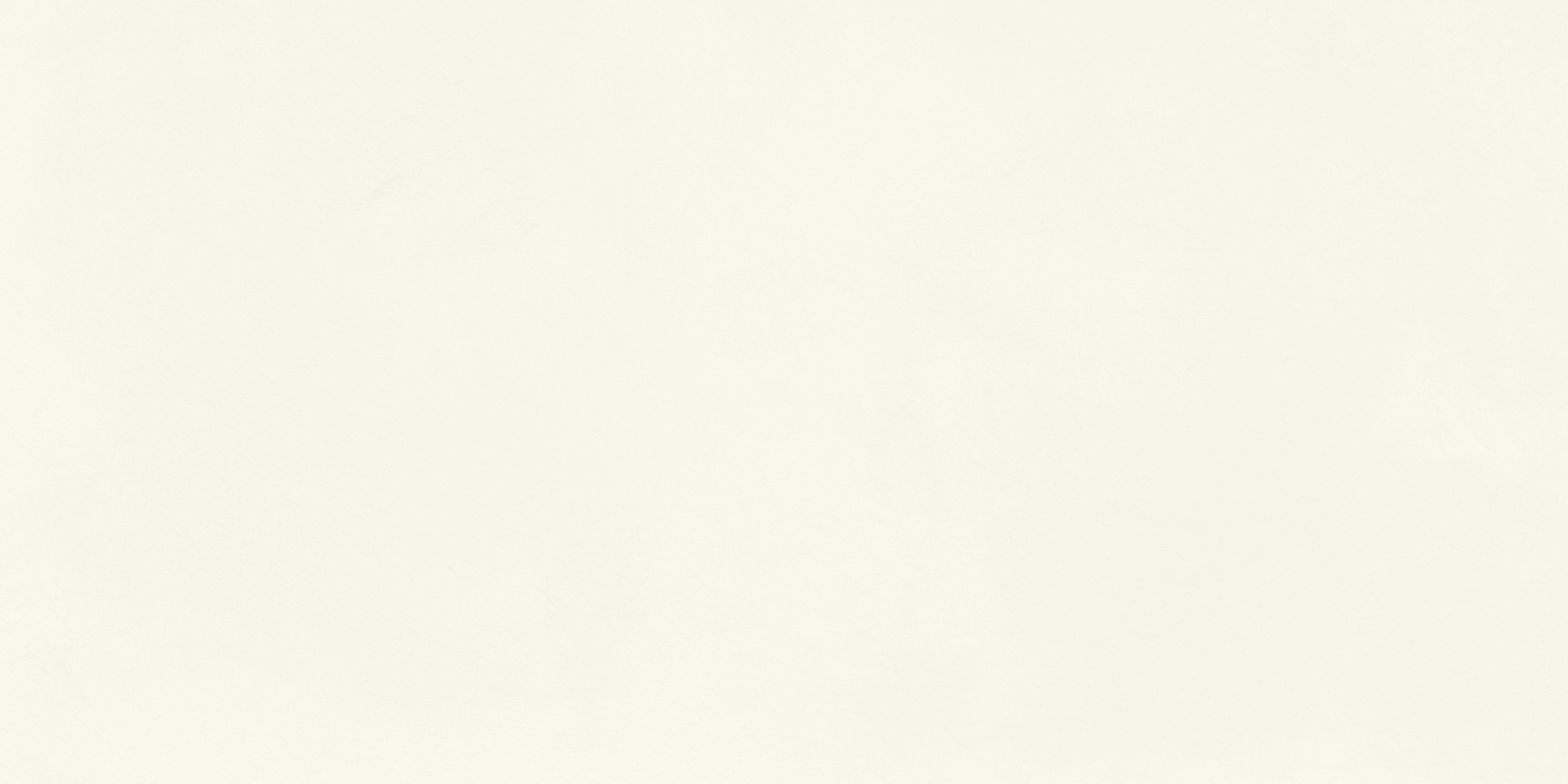 Wandfliese CART white 60 x 120
