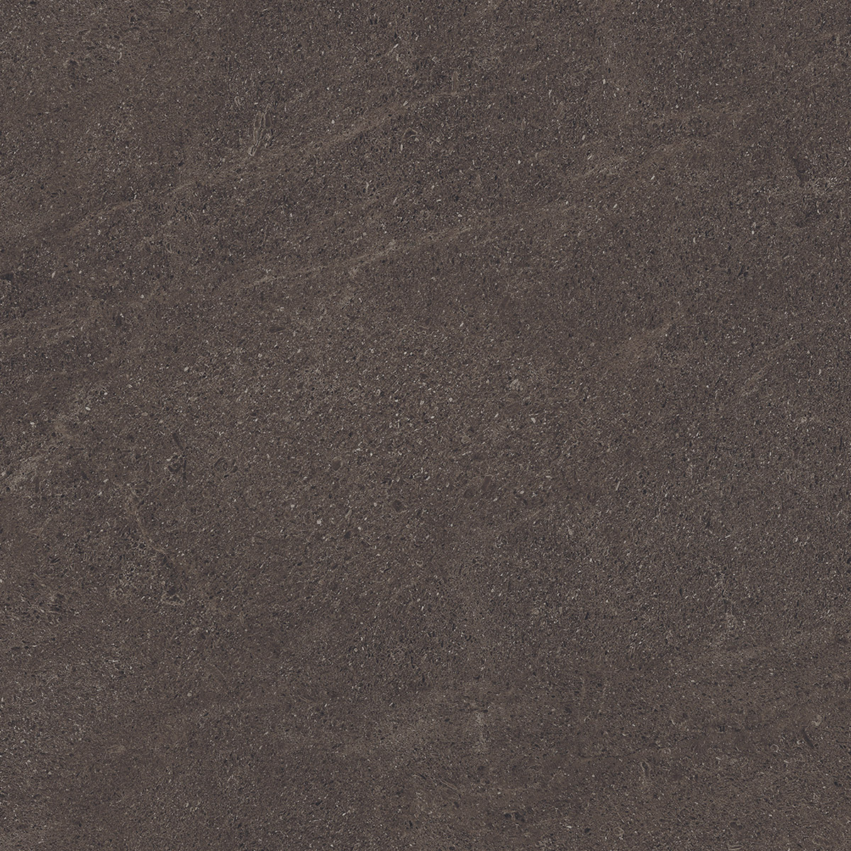 Bodenfliese NATURAL moka 60 x 60