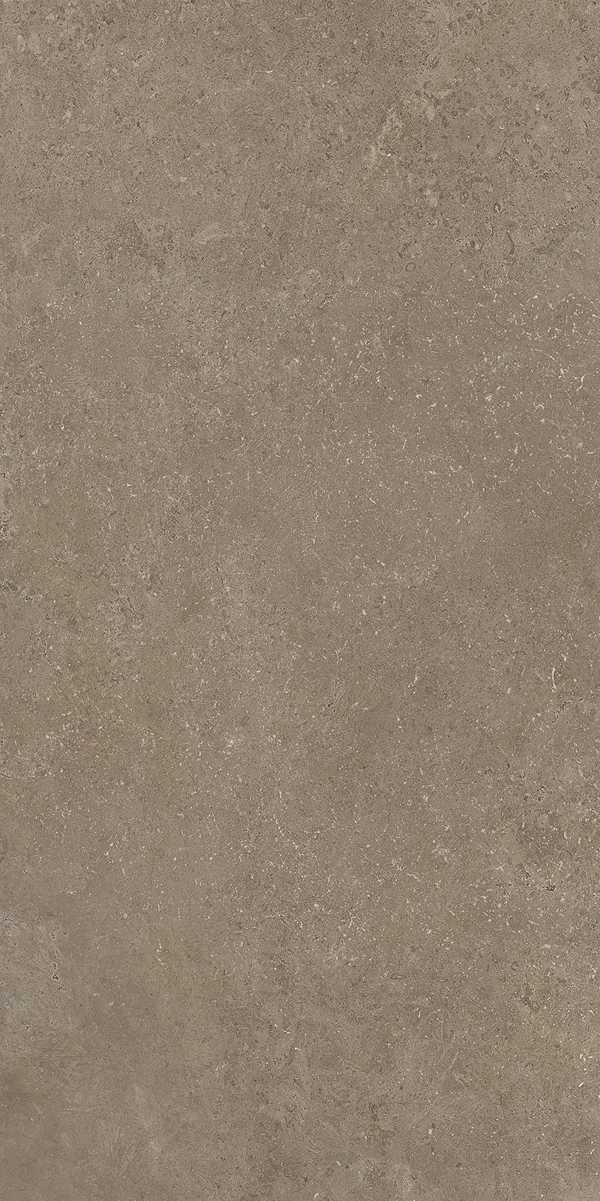 Bodenfliese CROATIA tortora 60x120