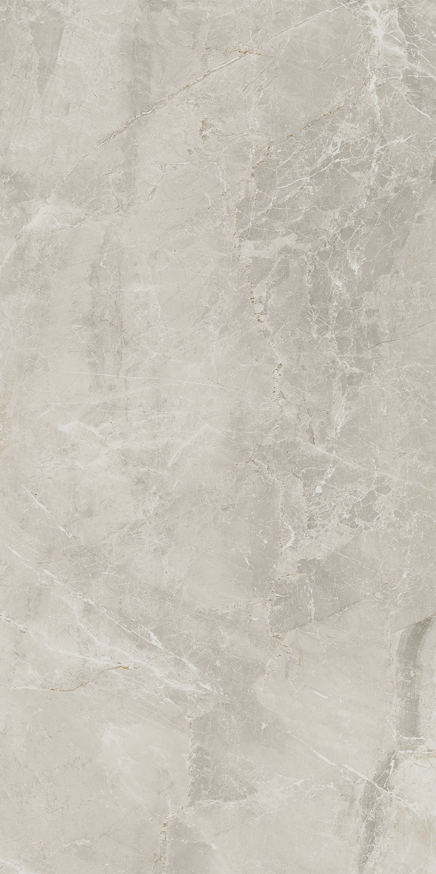 Bodenfliese SYBIL Matt light grey 60x120