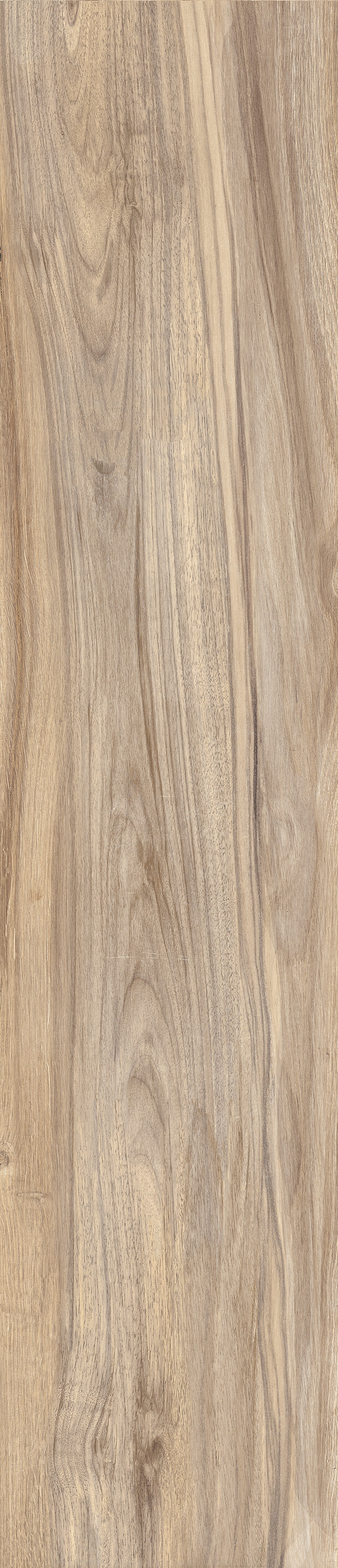 Bodenfliese WOODLAND Elm 20x120