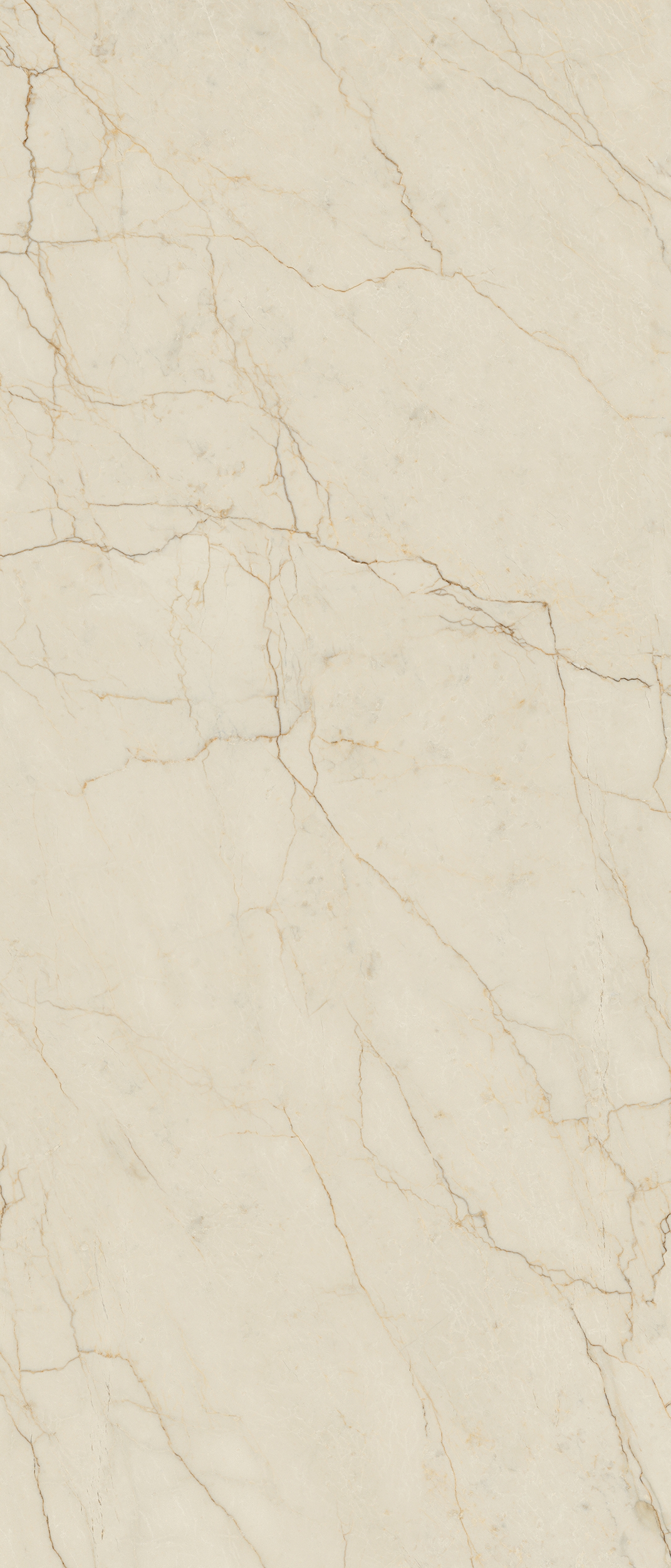 Wandfliese AVORIO SEGESTA 120x280 (lap)