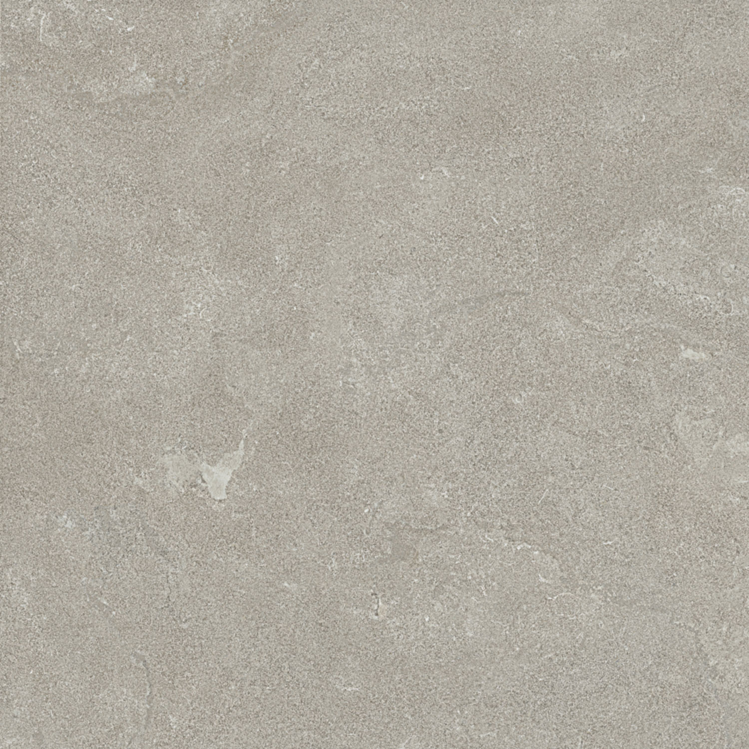 Bodenfliese DORSET cenere 80x80