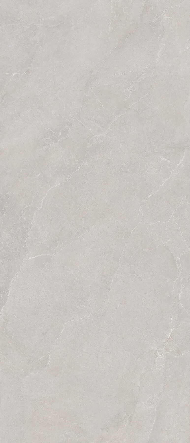 Wandfliese NOBLE STONE grey 120x280