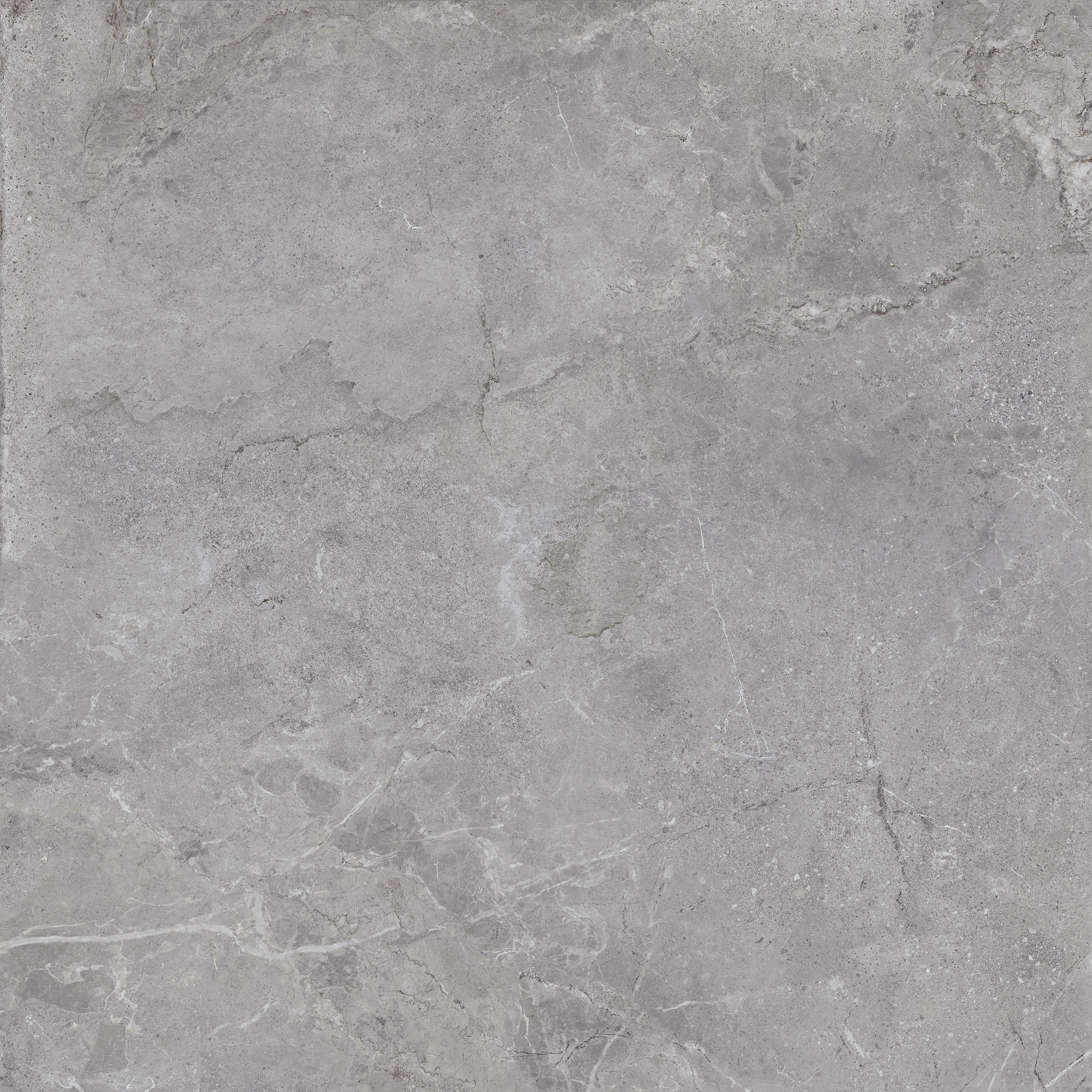 Outdoor-Fliese EVOLUTION grey 100x100