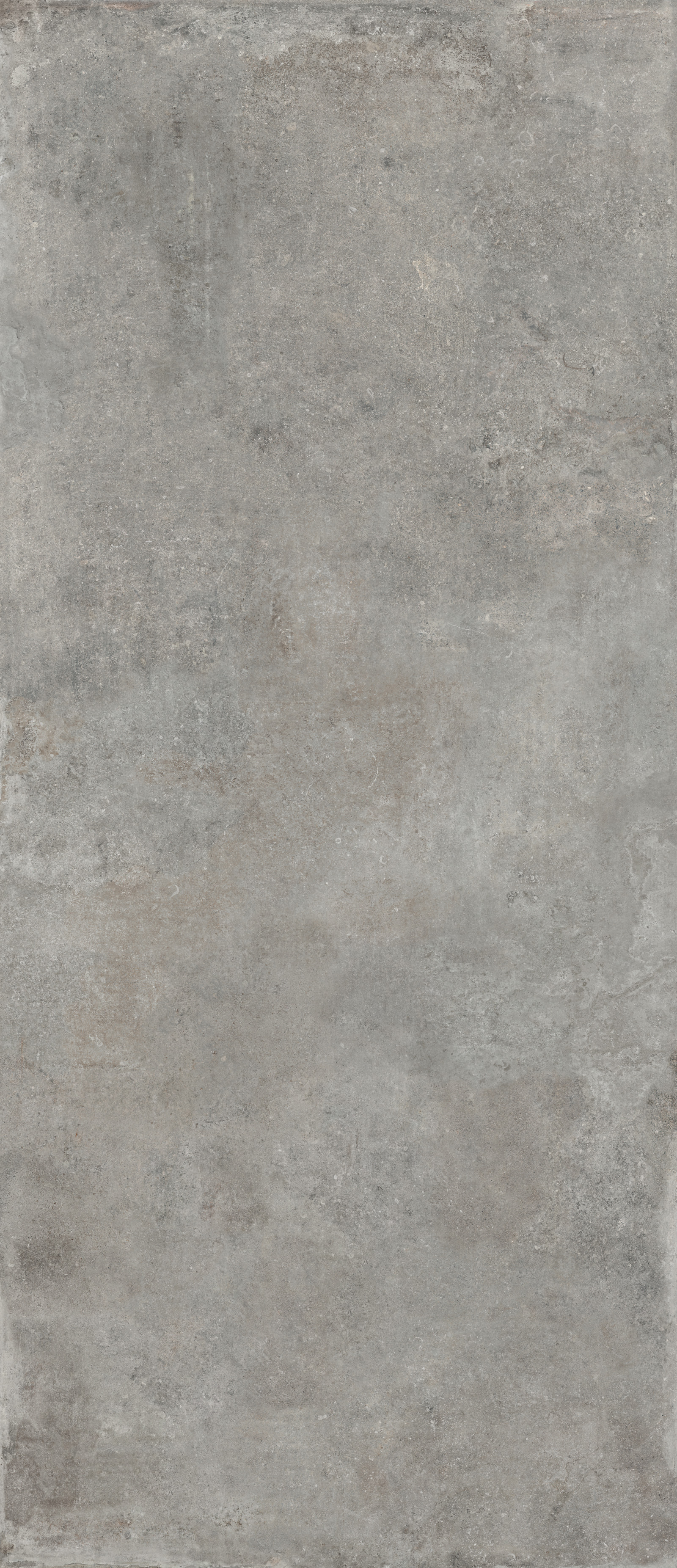 Wandfliese RE_TOUR fog 120x280