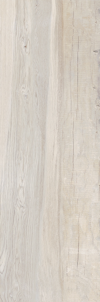 Outdoor-Fliese AEQUA nix 40x120