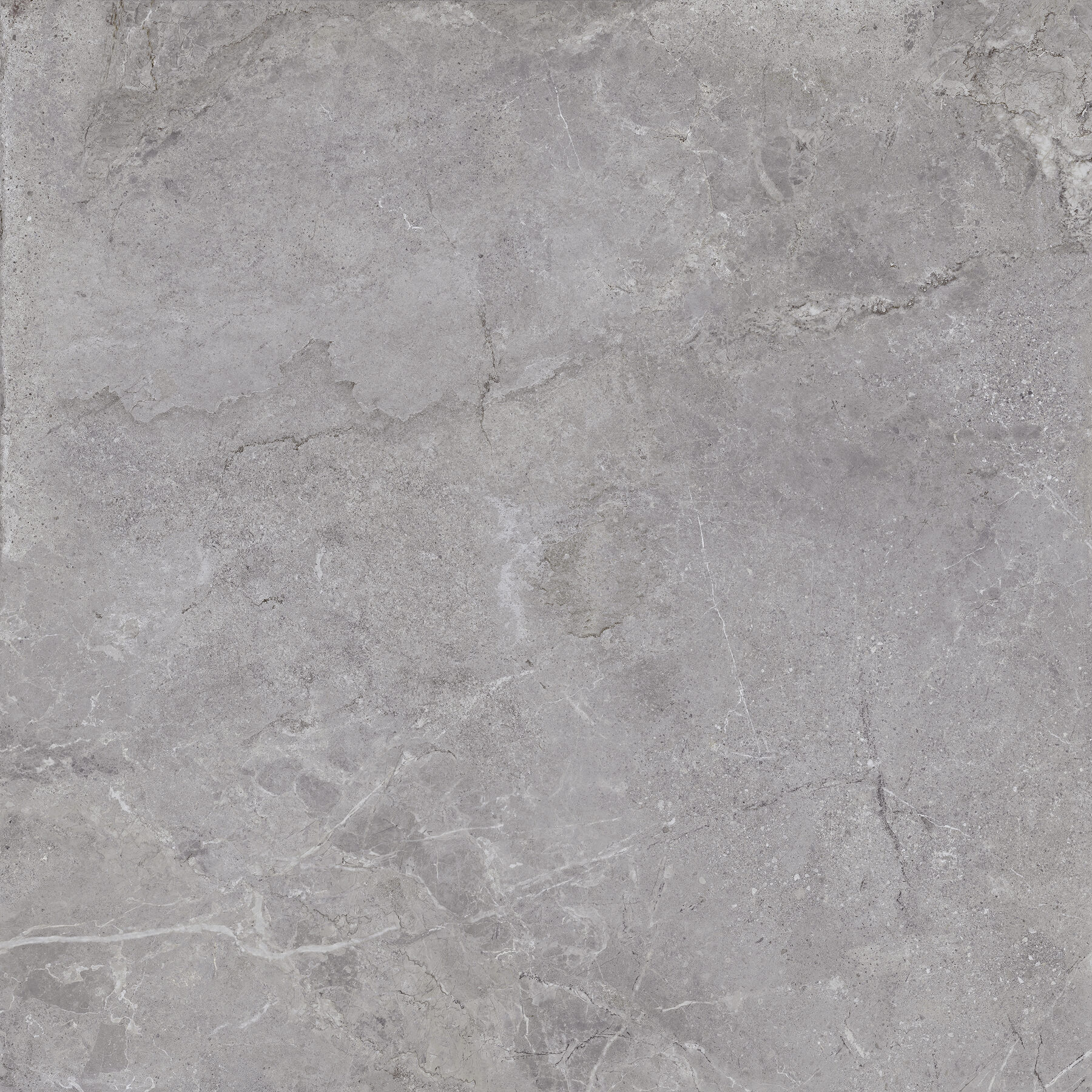 Bodenfliese EVOLUTION grey 100x100
