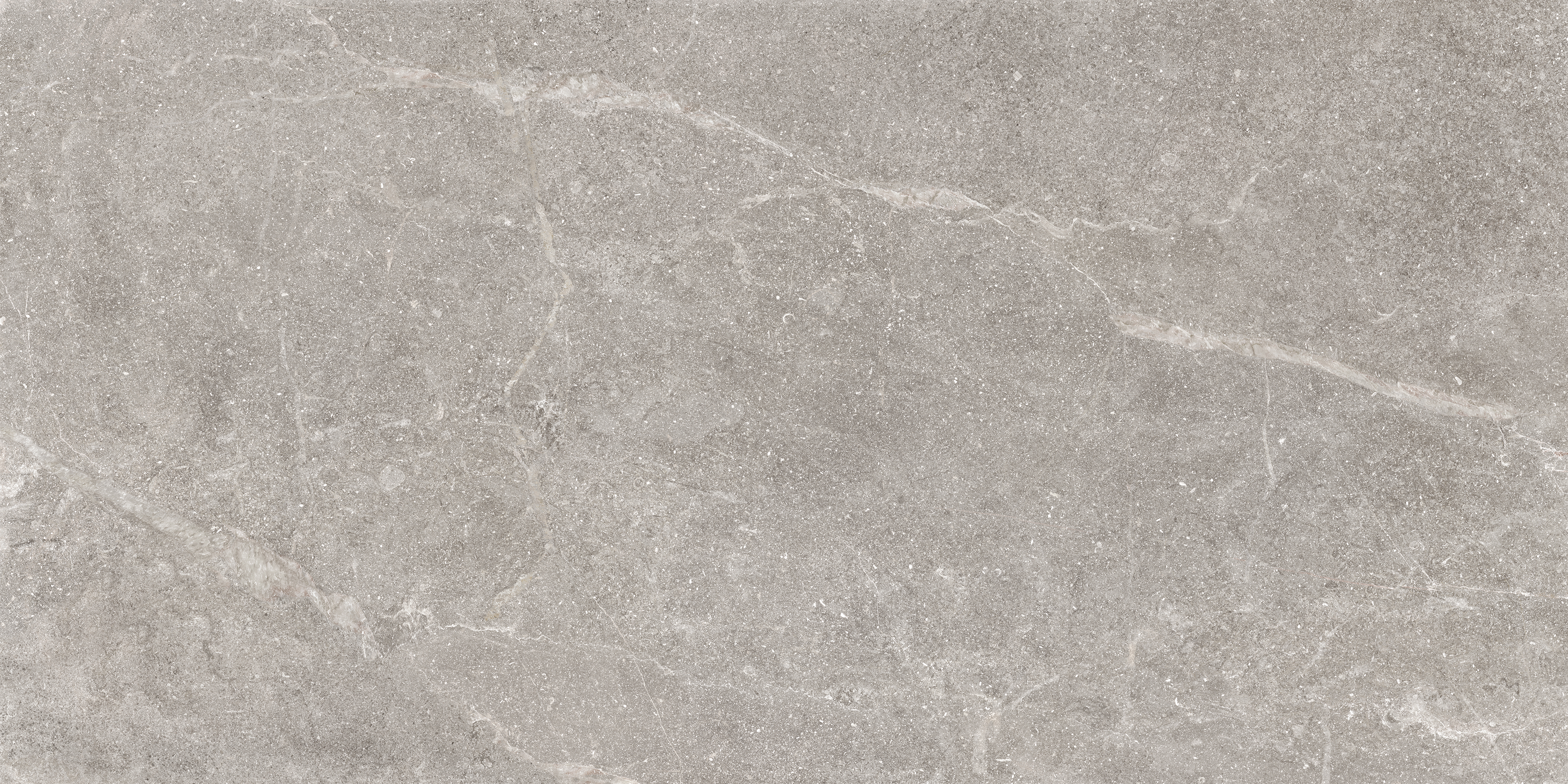 Outdoor-Fliese PIETRA ANTICA grey 60x120