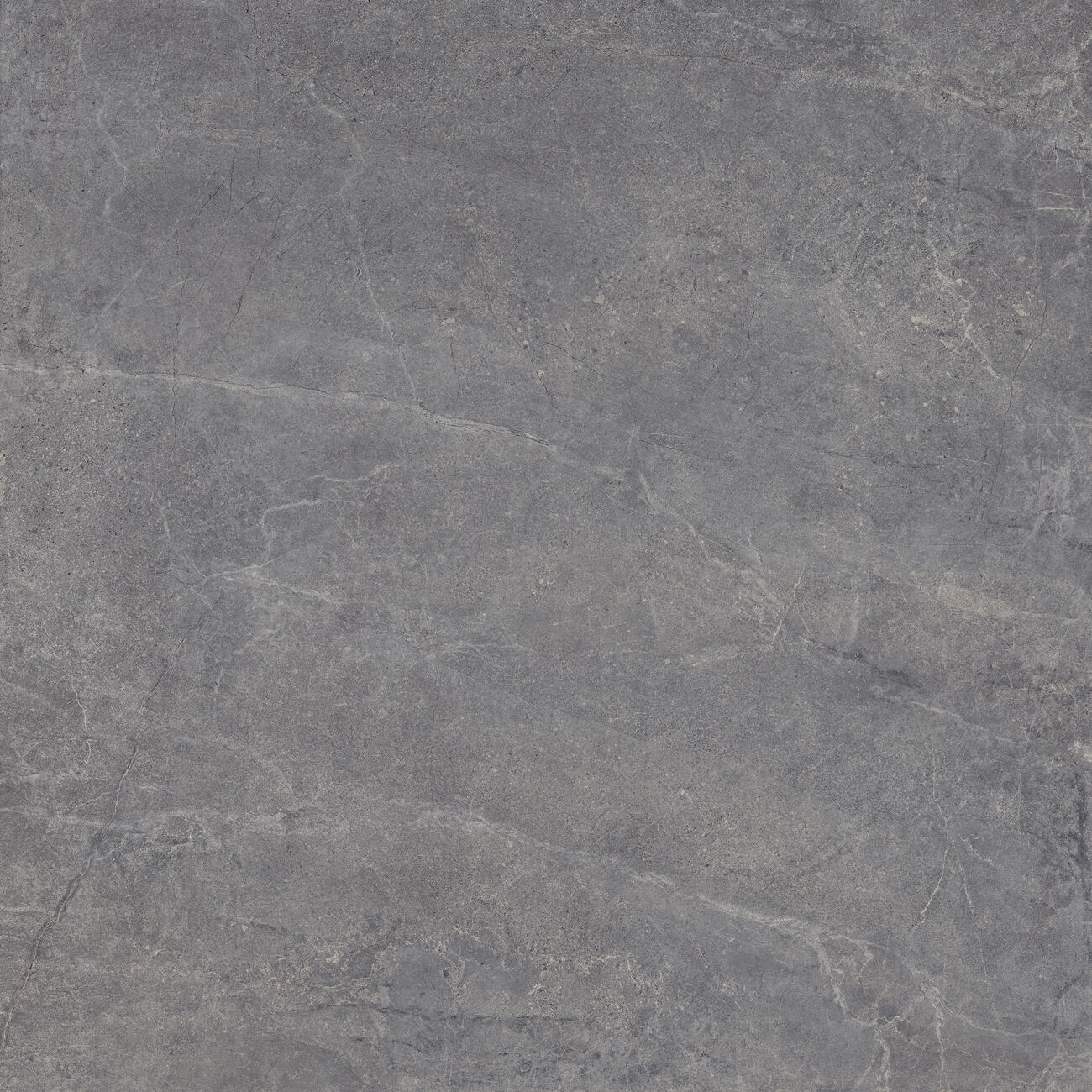 Outdoor-Fliese EVOLUTION titanium 100x100