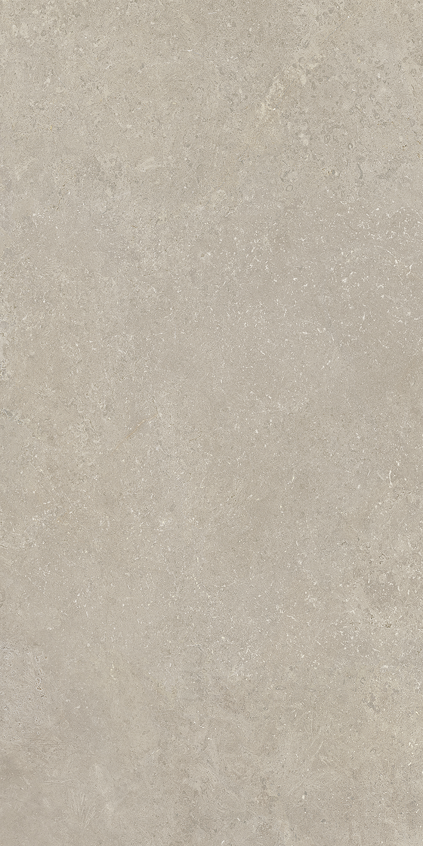 Bodenfliese CROATIA grigio 60x120