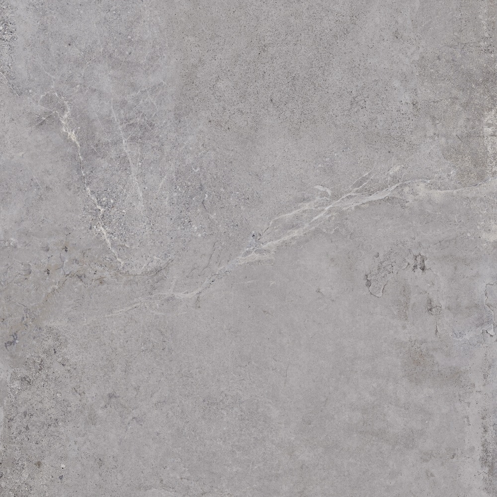 Bodenfliese EVOLUTION grey 60x60