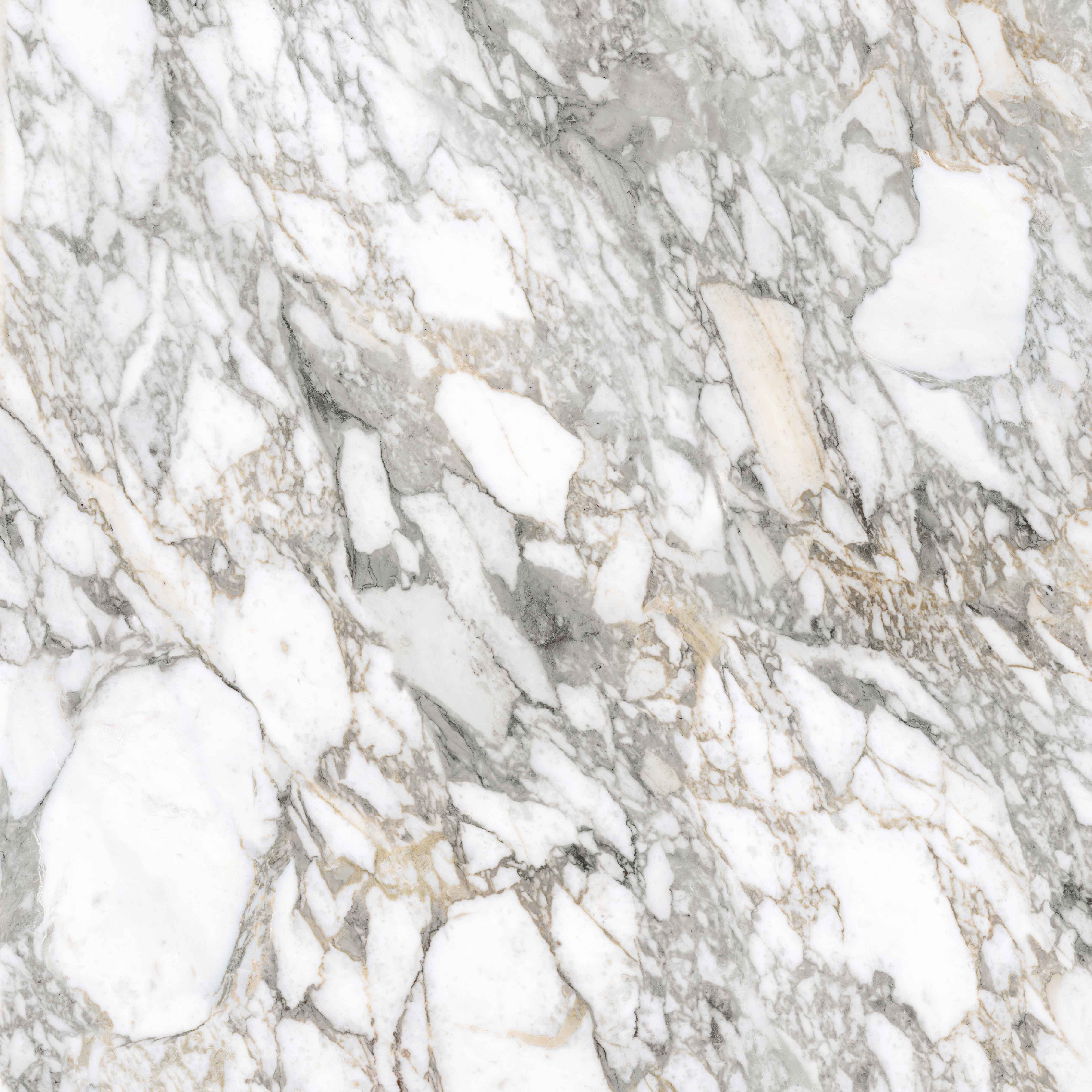 Bodenfliese SUPREME MEMORIES bianco vagli 120x120