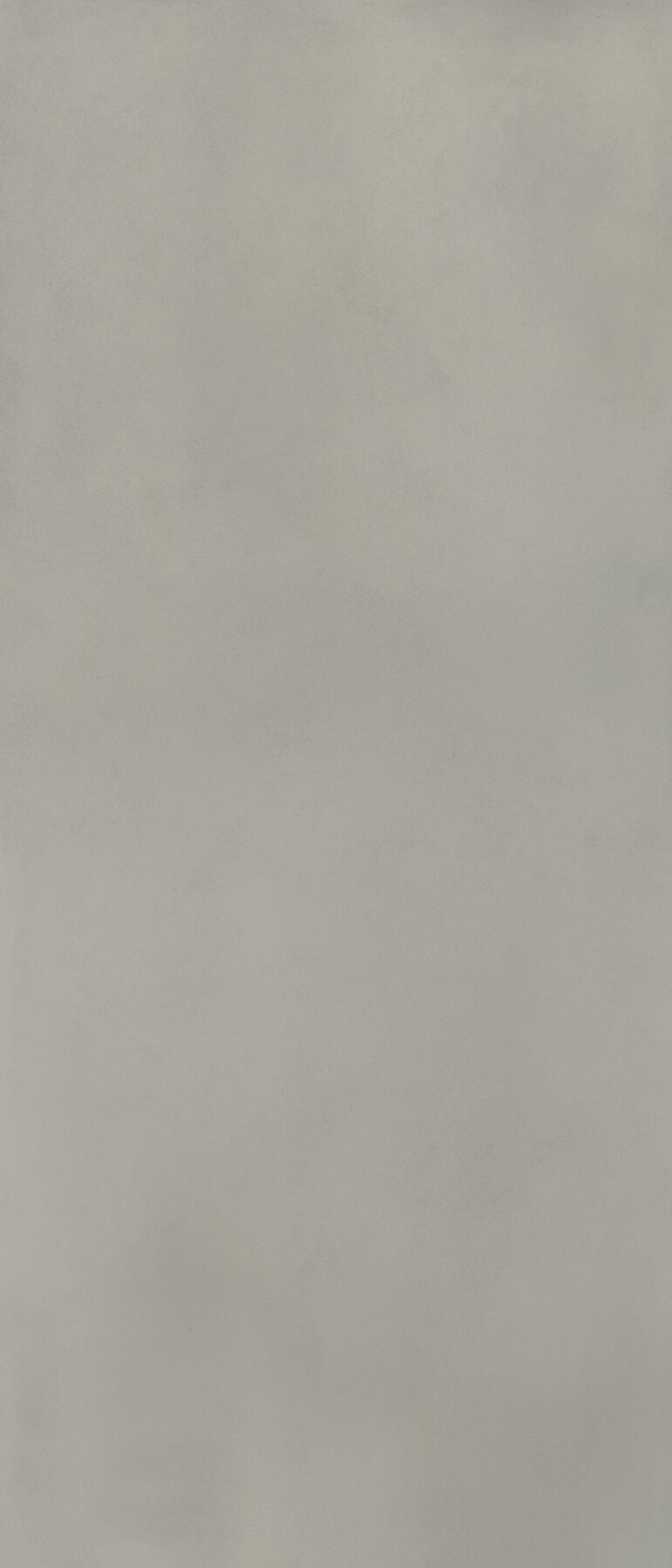 Wandfliese NUANCES grigio 120x280