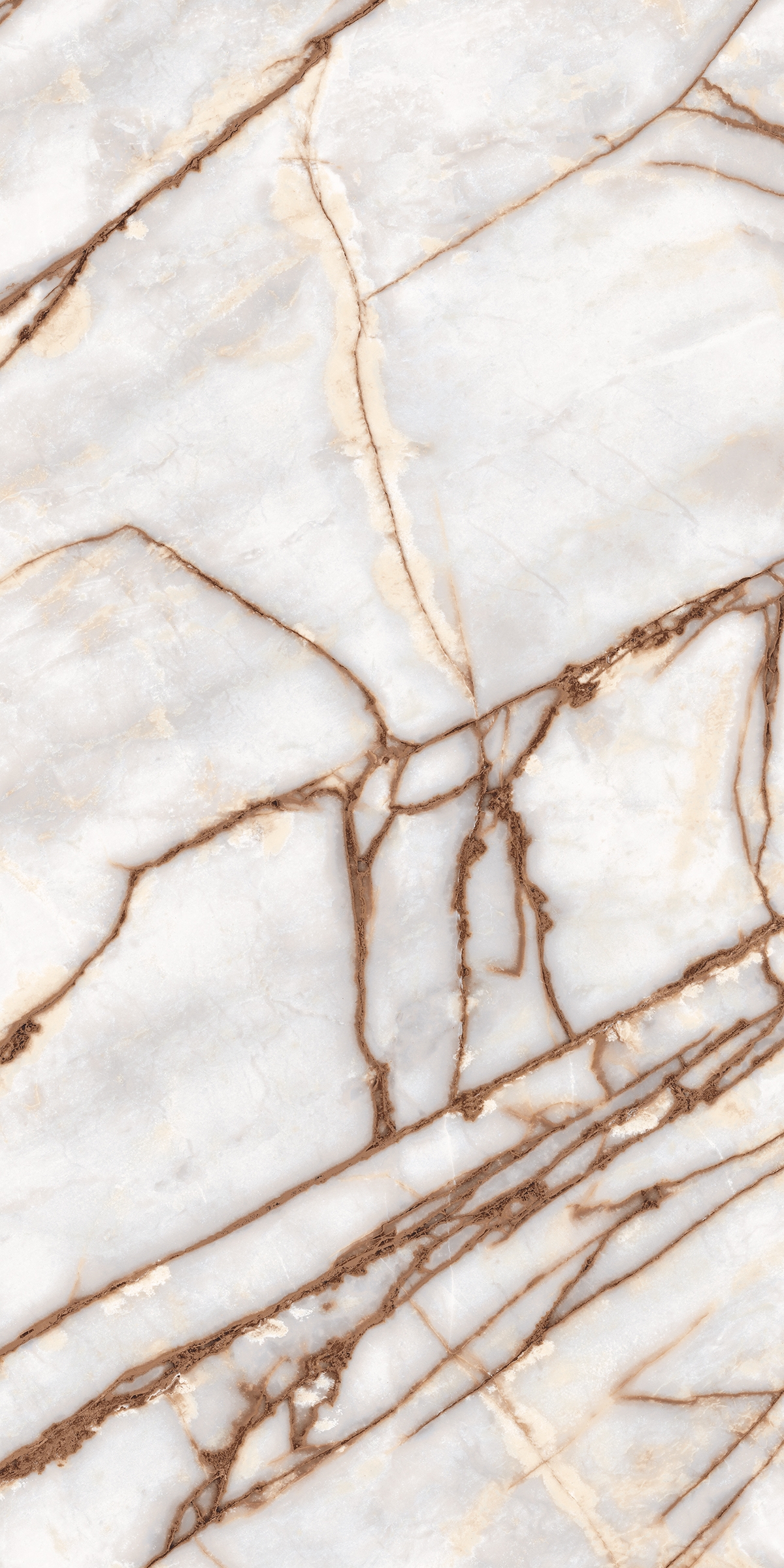 Bodenfliese BIANCO IMPERIALE 60x120