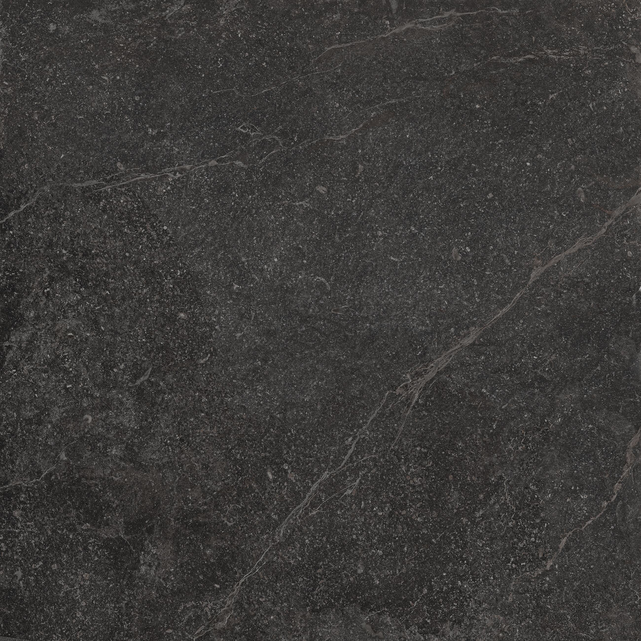 Outdoor-Fliese PIETRA ANTICA black 100x100