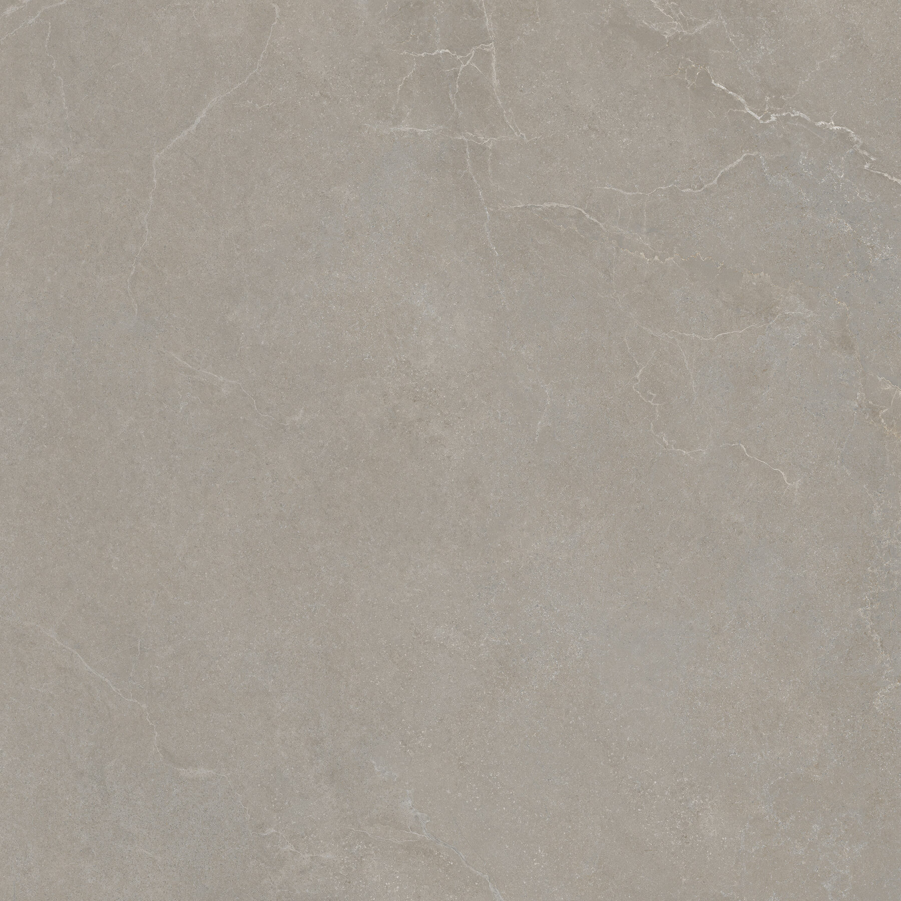 Bodenfliese NOBLE STONE taupe 100x100