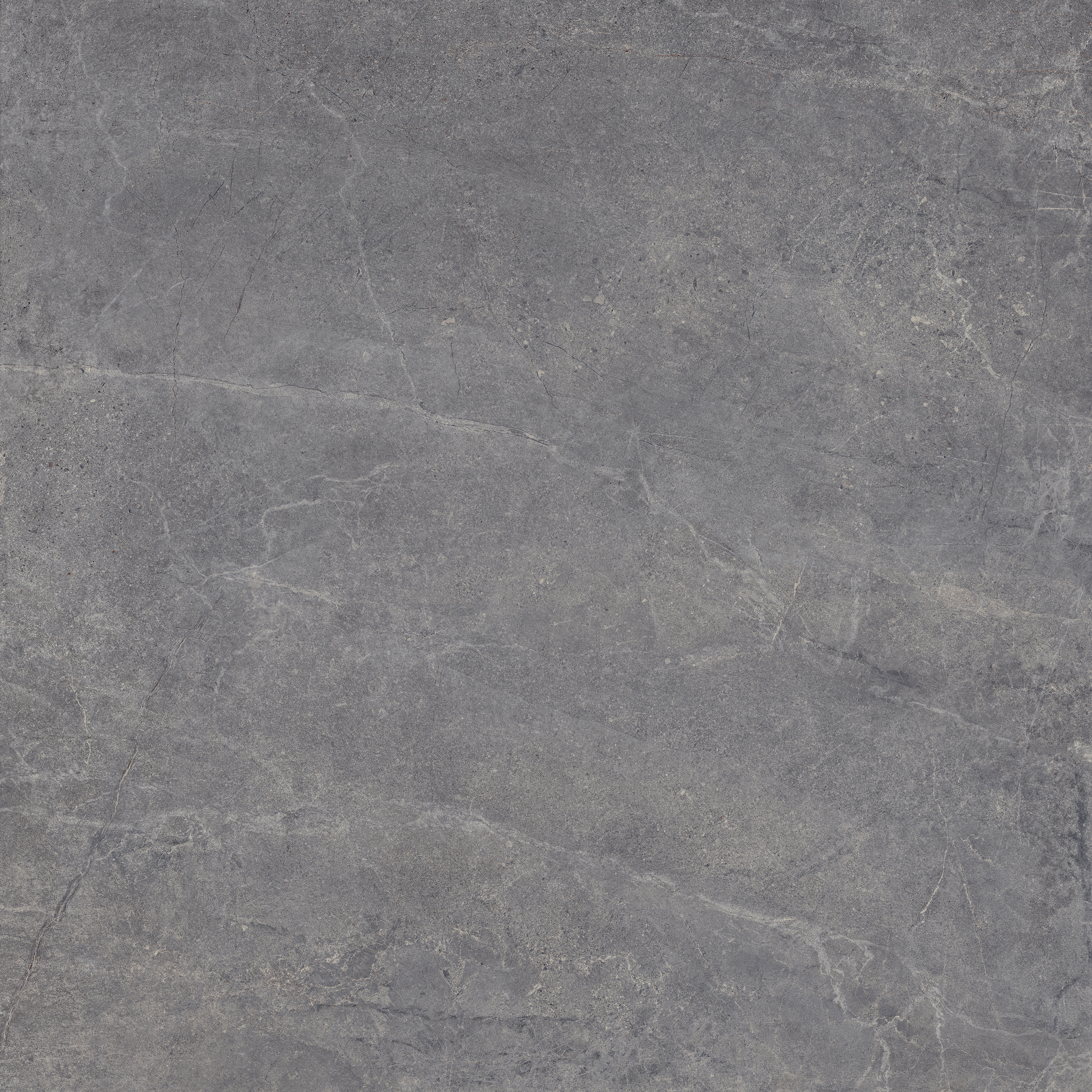 Bodenfliese EVOLUTION titanium 100x100