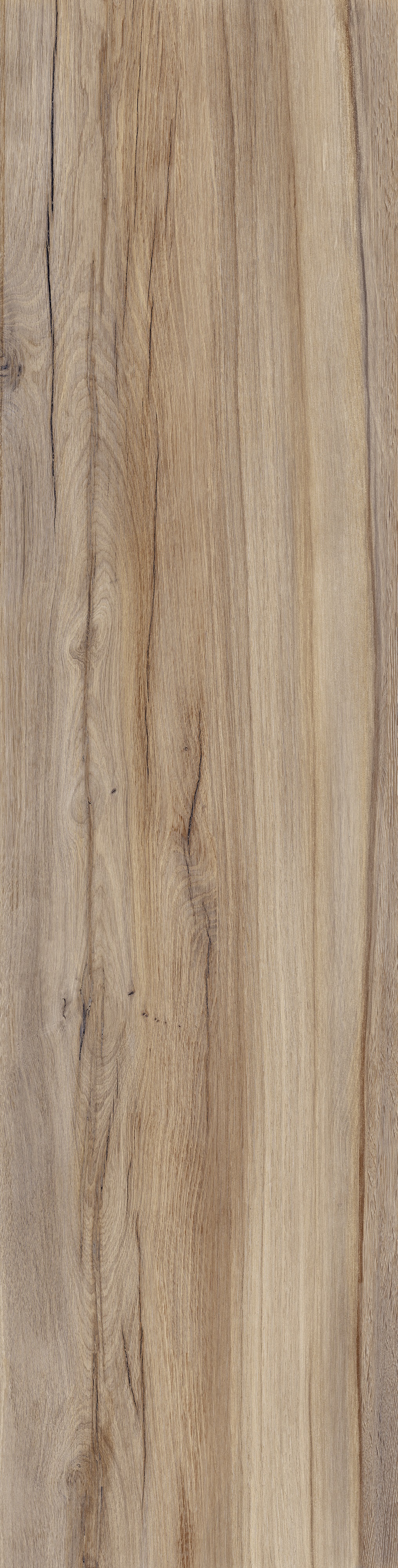 Bodenfliese WOODLAND Oak 30x120