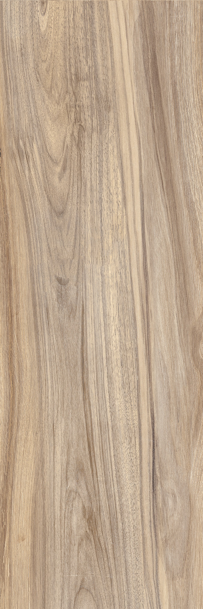 Bodenfliese WOODLAND Grip Elm 20x80