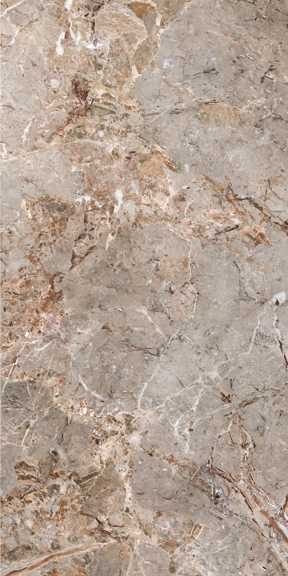 Bodenfliese BRECCIA ARGENTUM 60x120