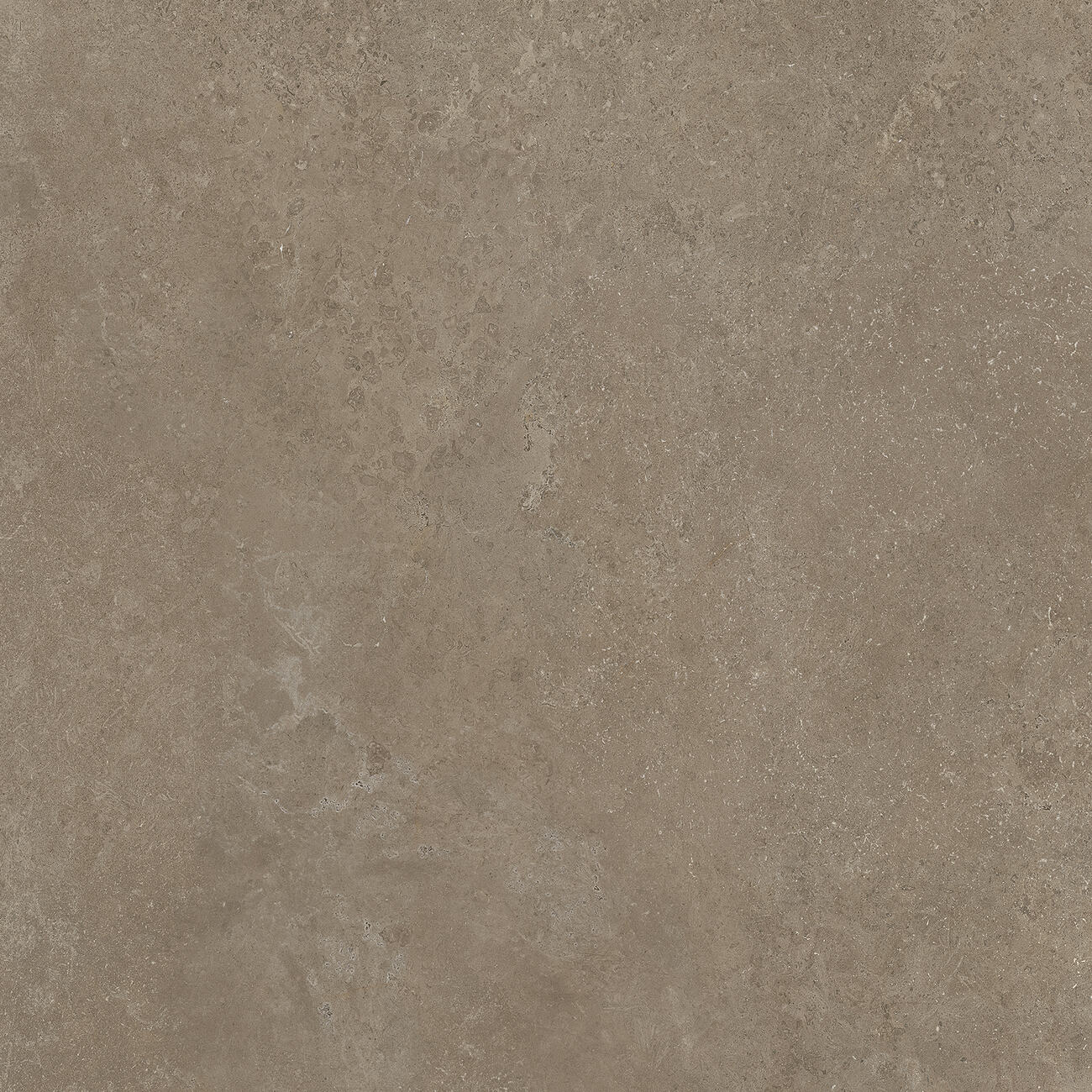 Bodenfliese CROATIA tortora 120x120