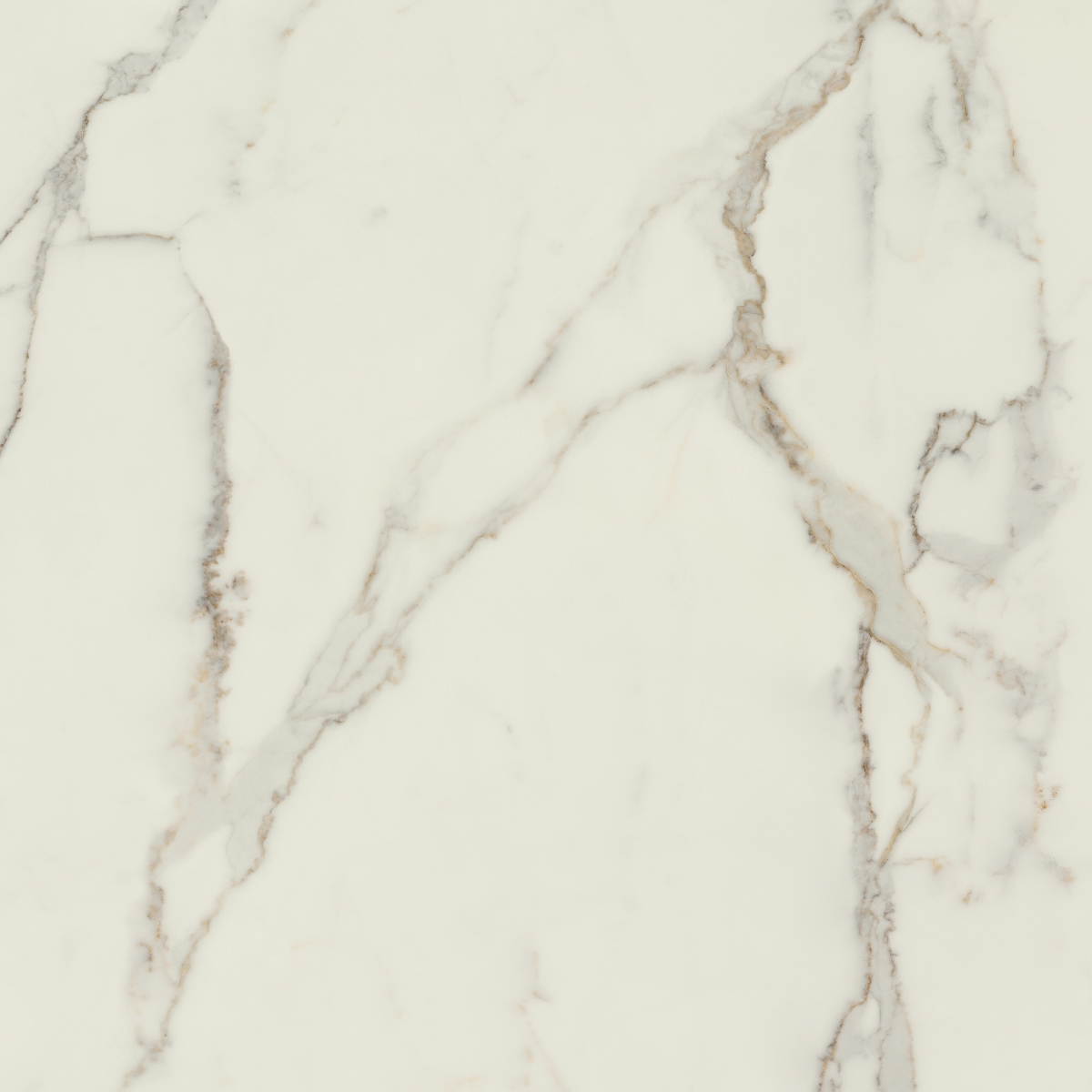 Bodenfliese CALACATTA ORO 120x120