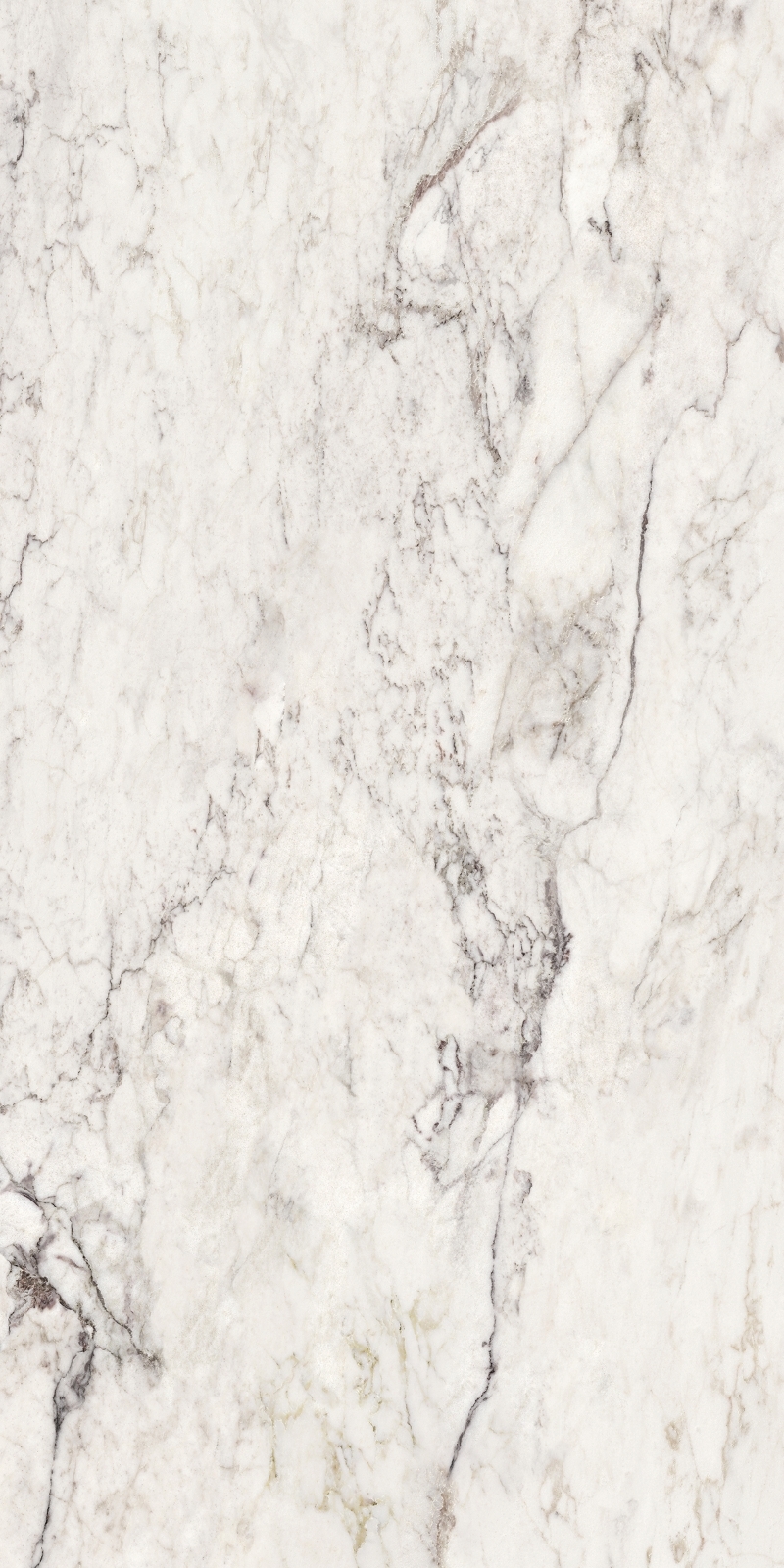 Bodenfliese BRECCIA CAPRAIA 60x120