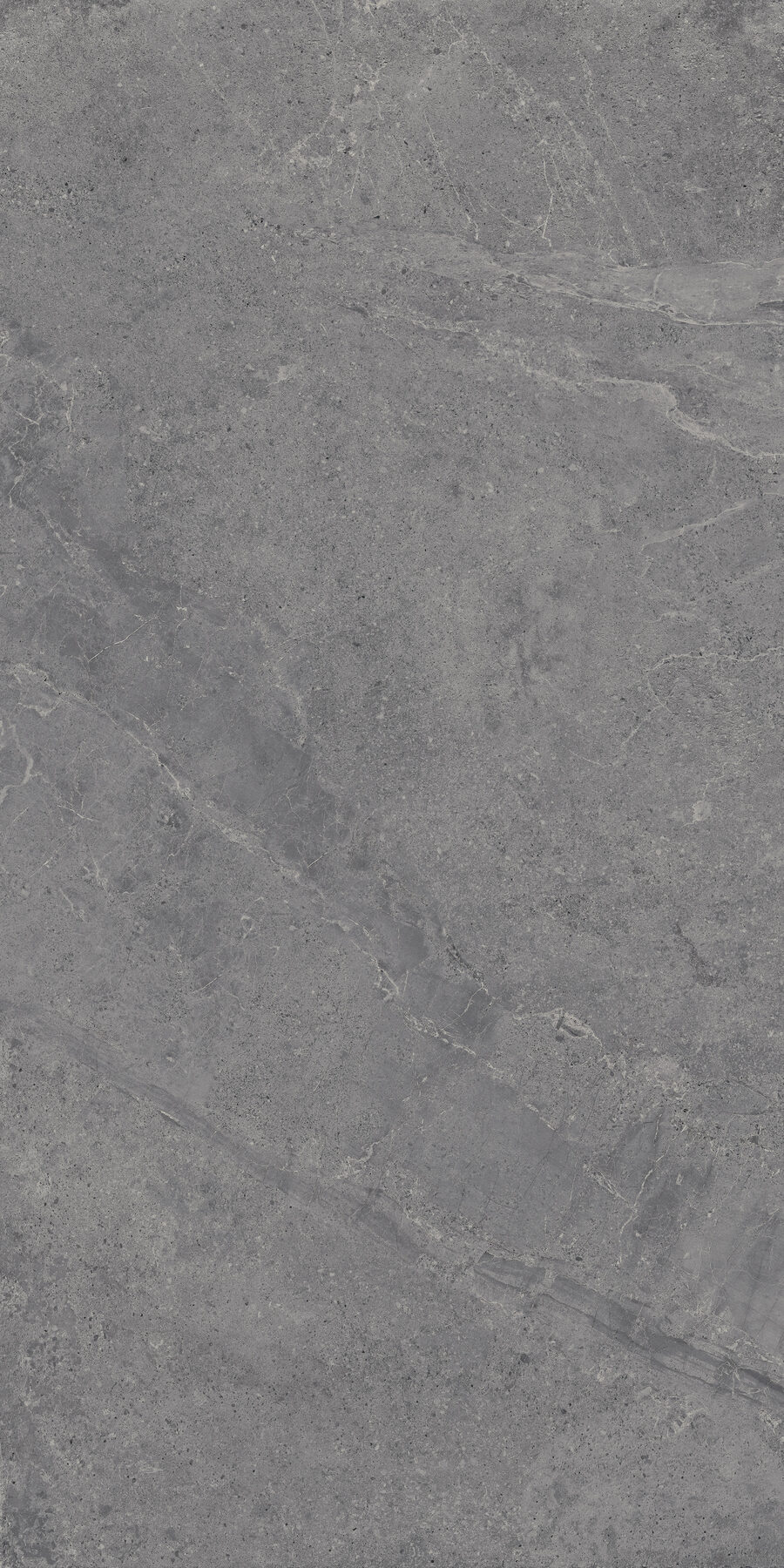 Outdoor-Fliese EVOLUTION titanium 60x120