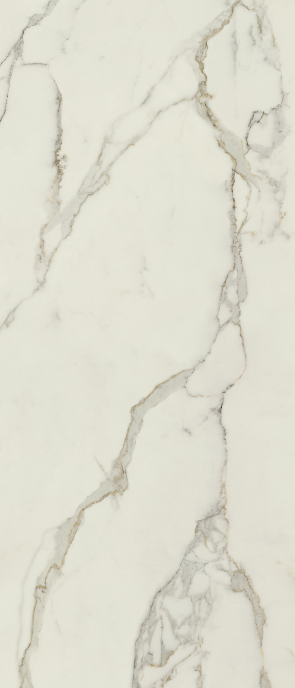 Wandfliese CALACATTA ORO 120x280 (lap)