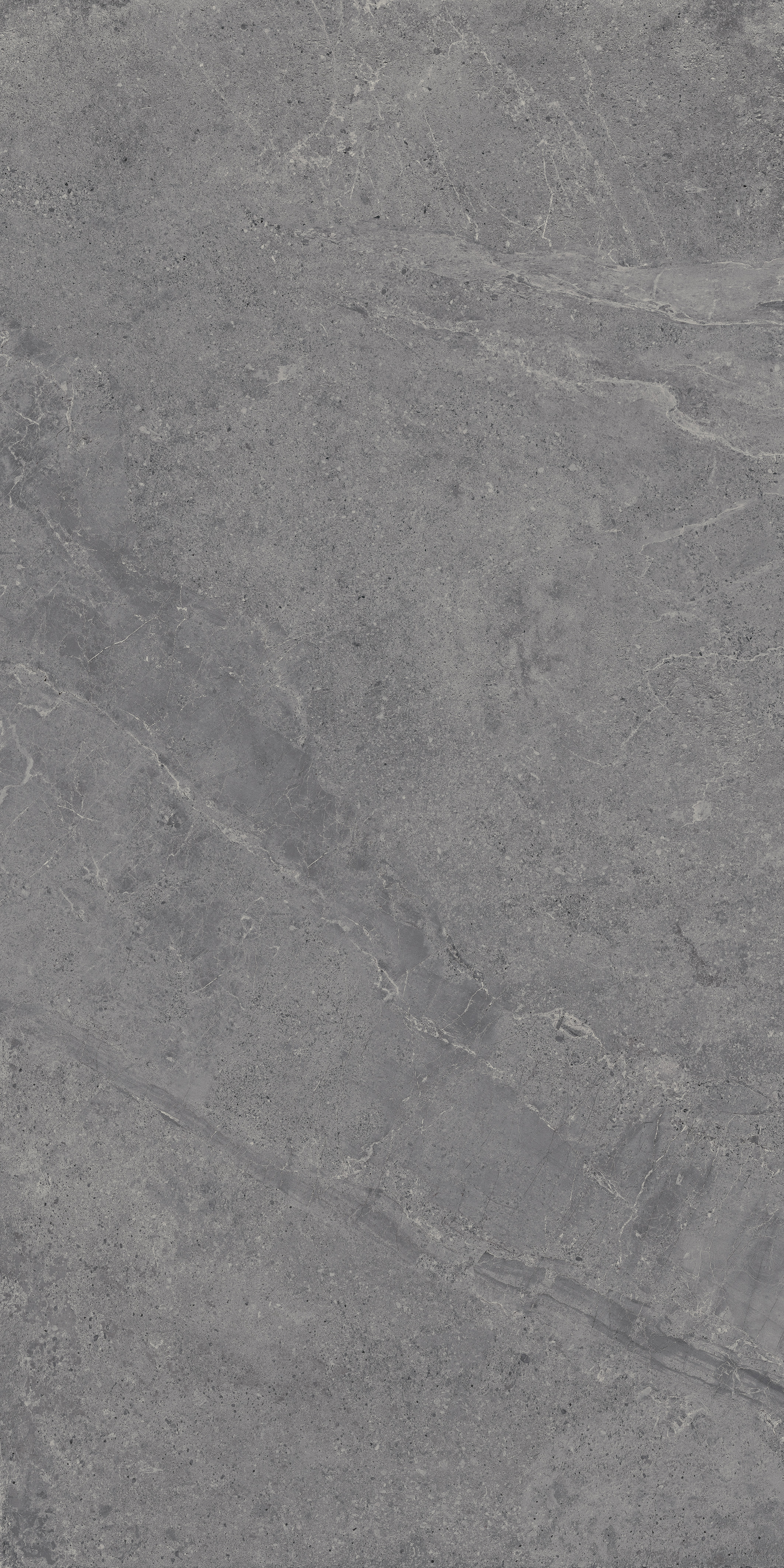 Bodenfliese EVOLUTION titanium 60x120