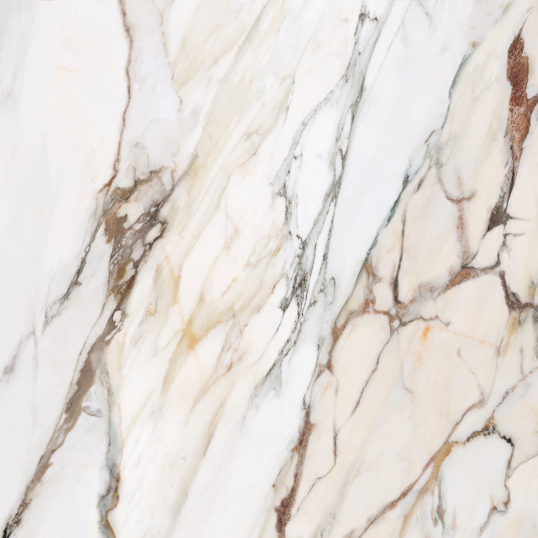Bodenfliese MACCHIA ANTICA 120x120