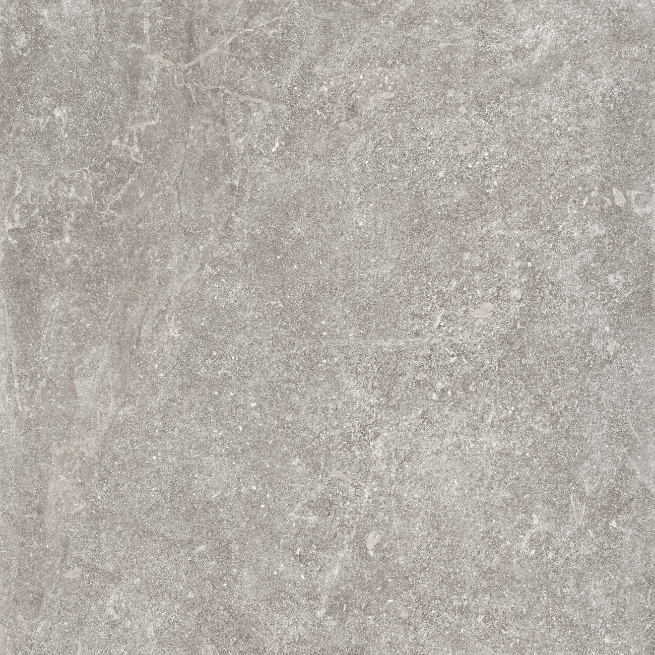 Outdoor-Fliese PIETRA ANTICA grey 60x60