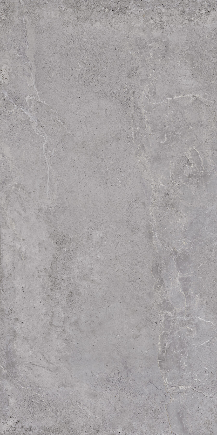 Bodenfliese EVOLUTION grey 60x120