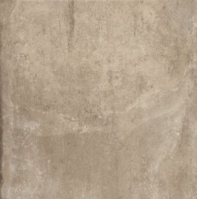 Tortora