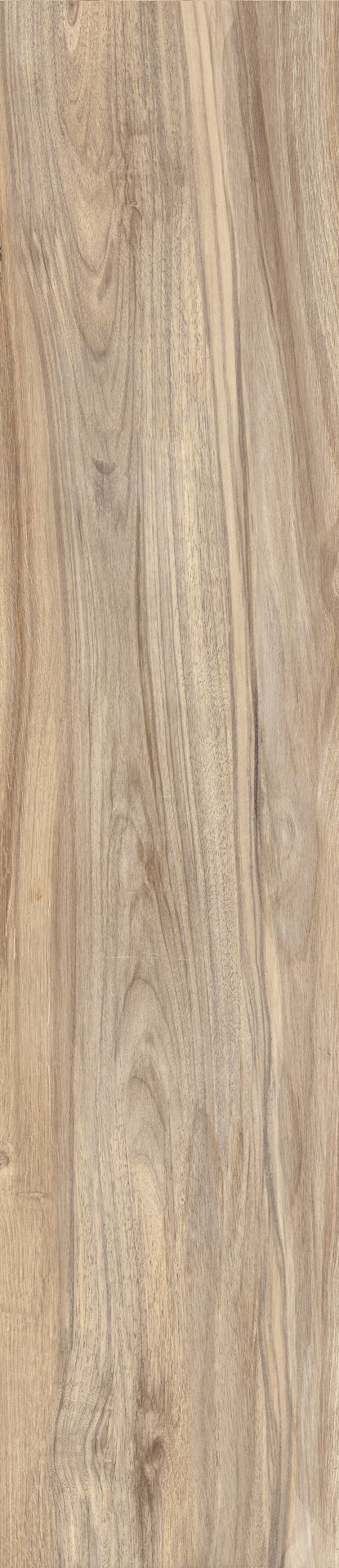 Elm