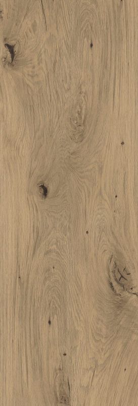 sequoia