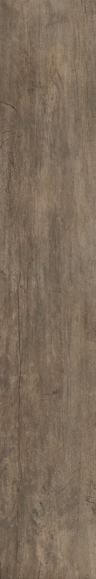 nocciolo